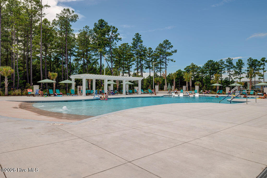 100564282 | Photo 80