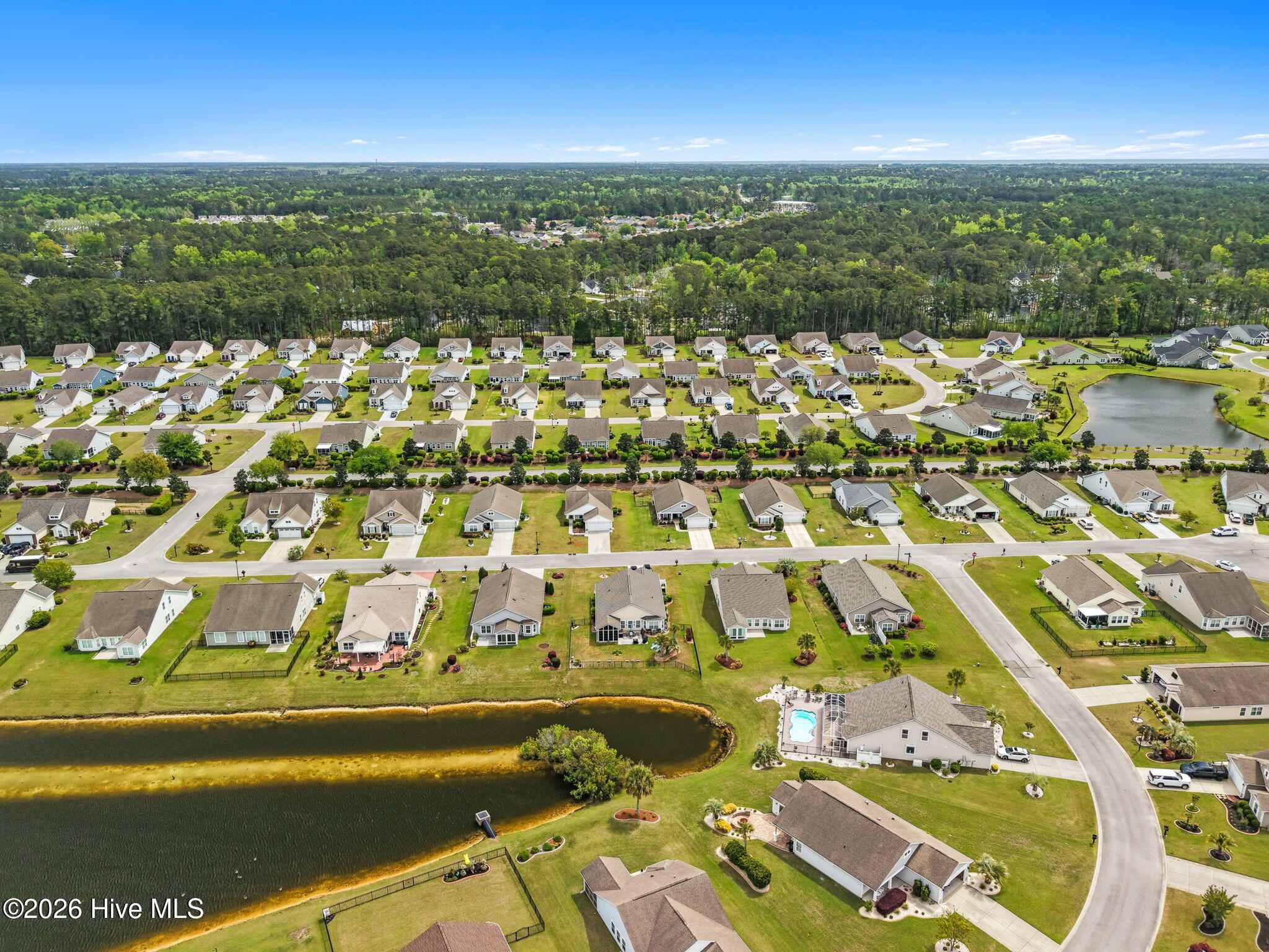 100565577 | Photo 43