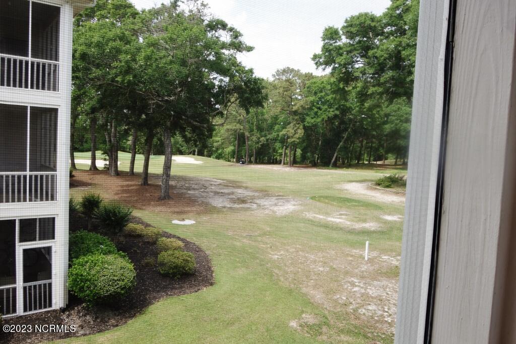 100525146 | Photo 35