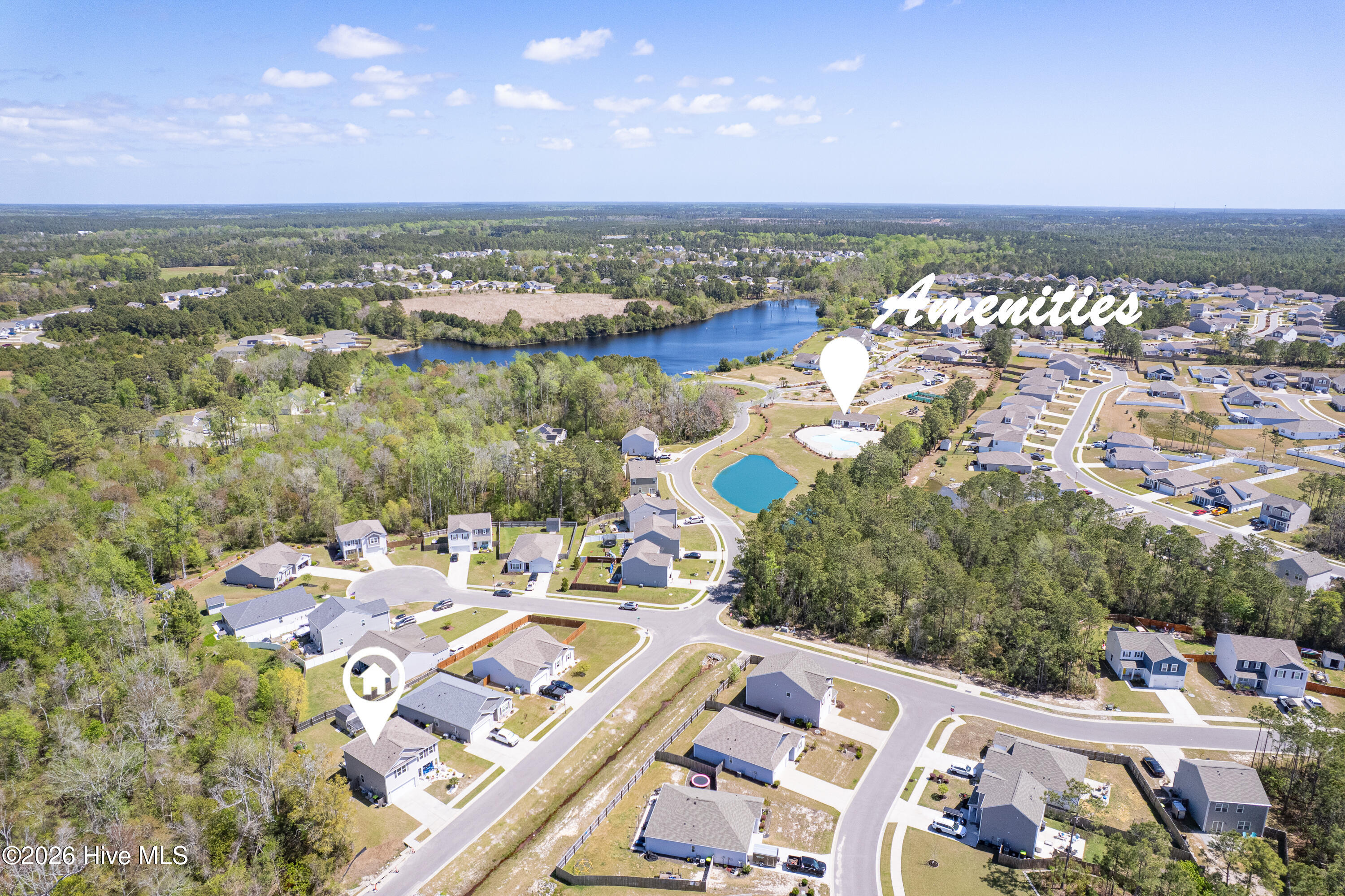 100565861 | Photo 73