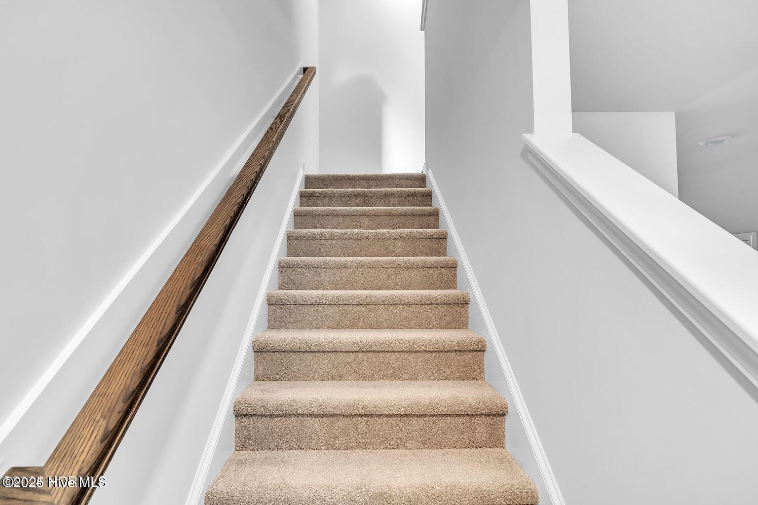 100568306 | Photo 11