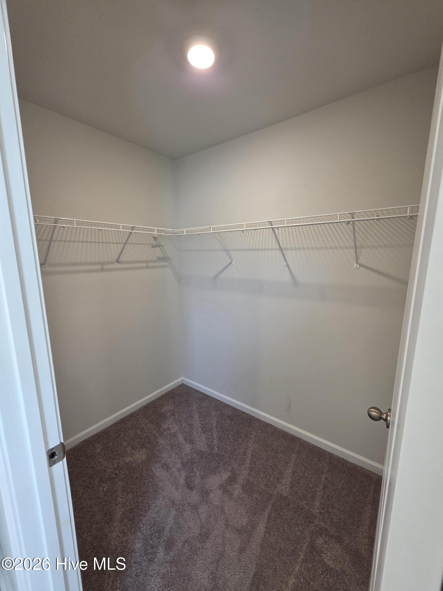 100552065 | Photo 21