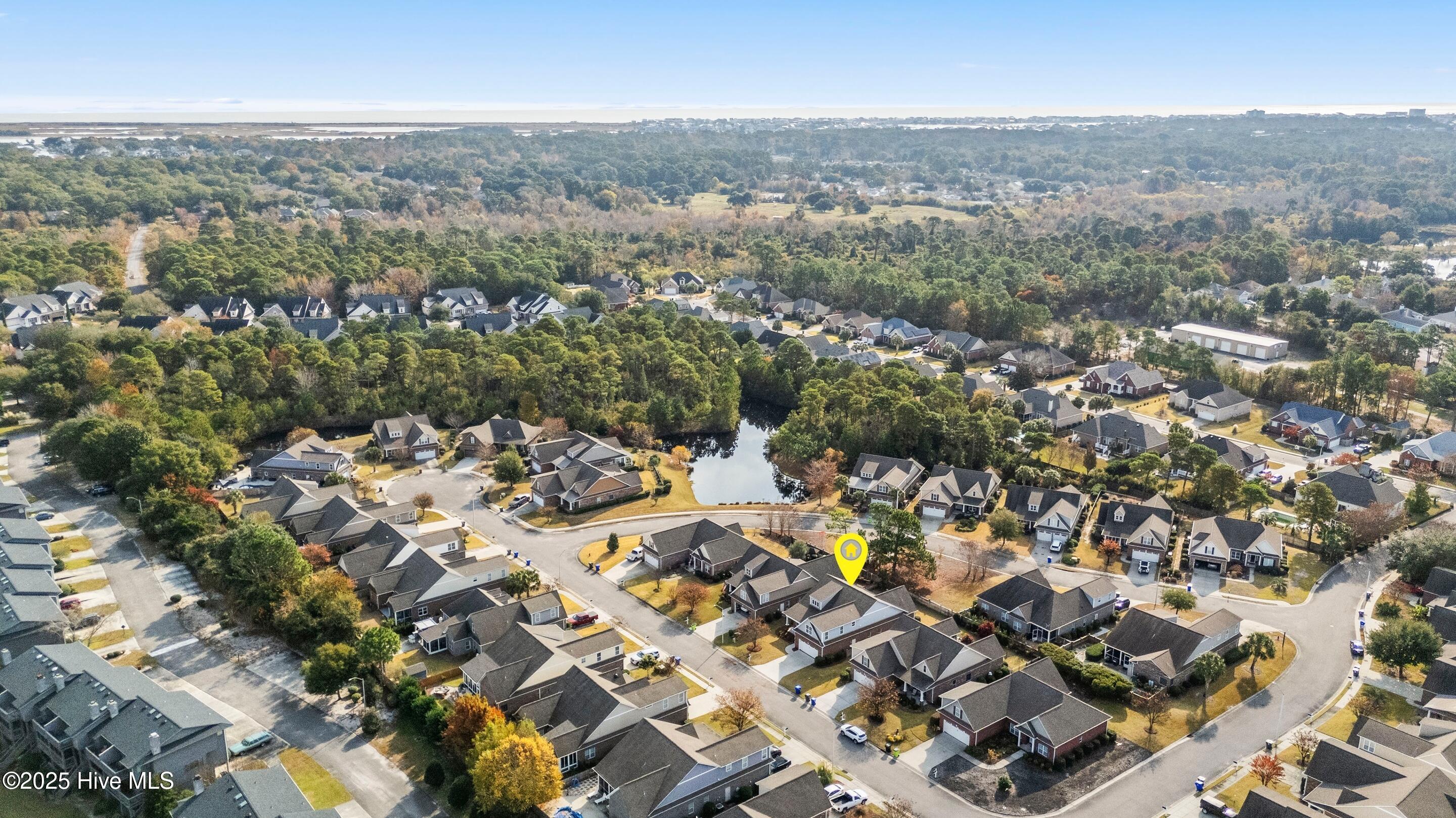 100542778 | Photo 55