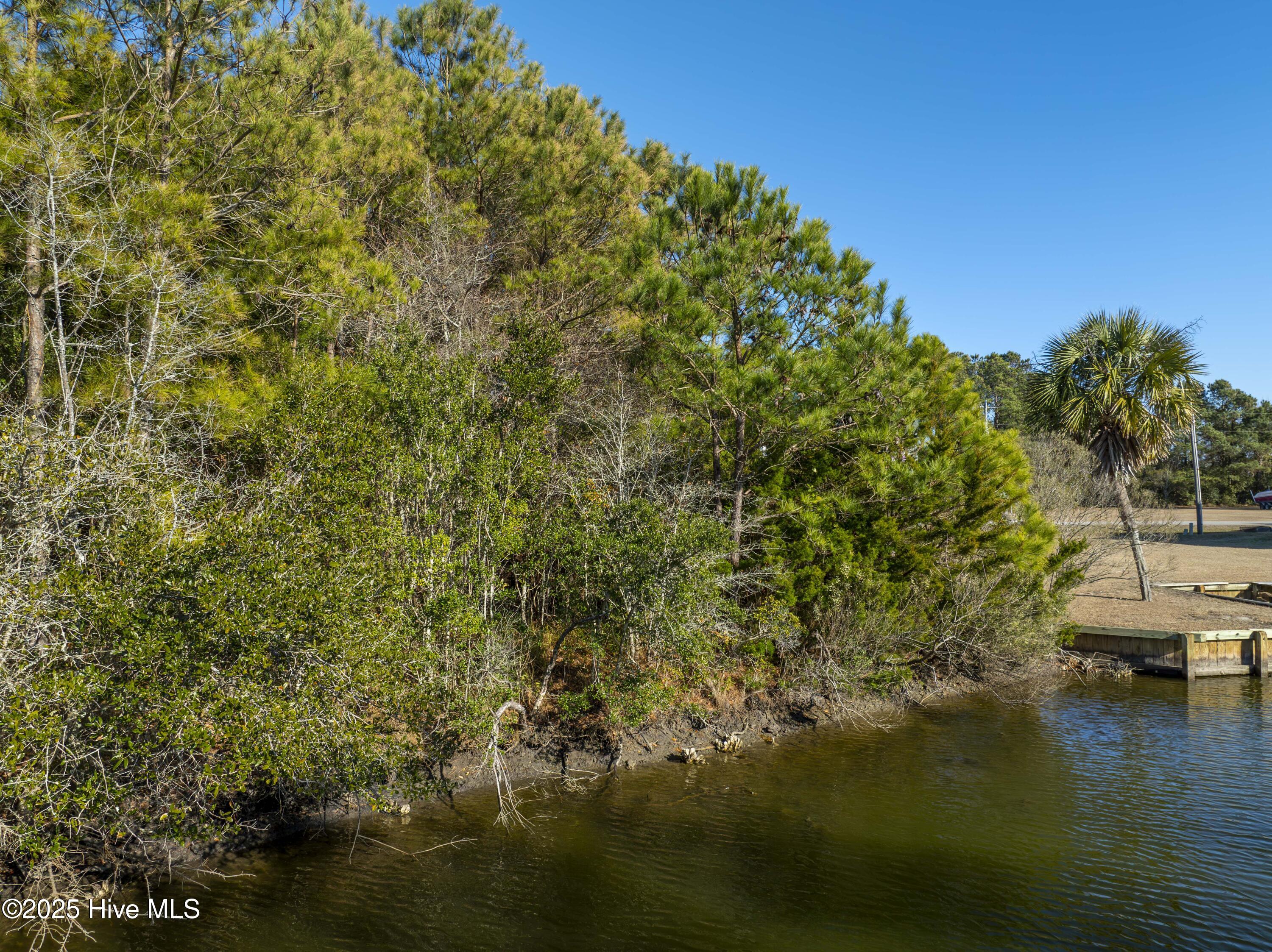 100554512 | Photo 24