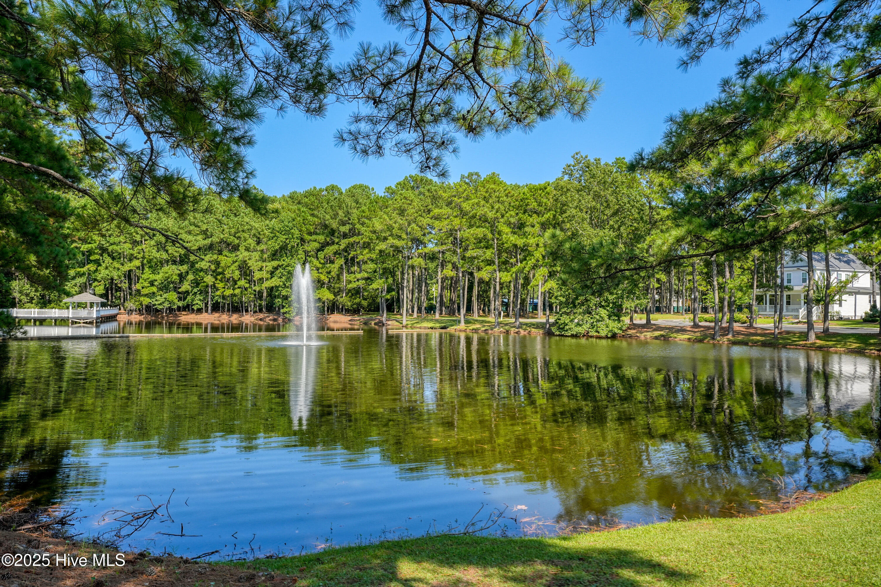 100531409 | Photo 30