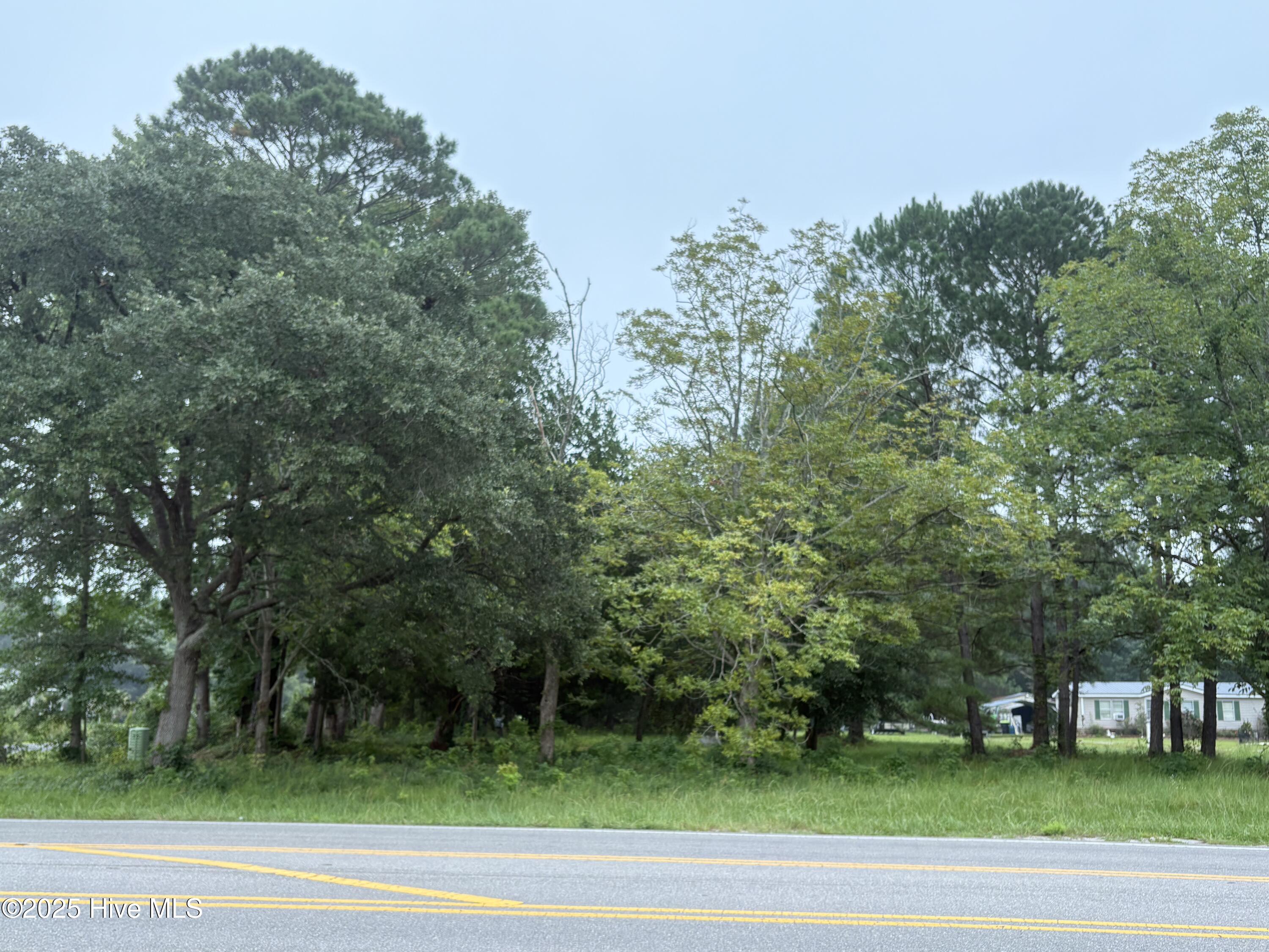 100527480 | Photo 2
