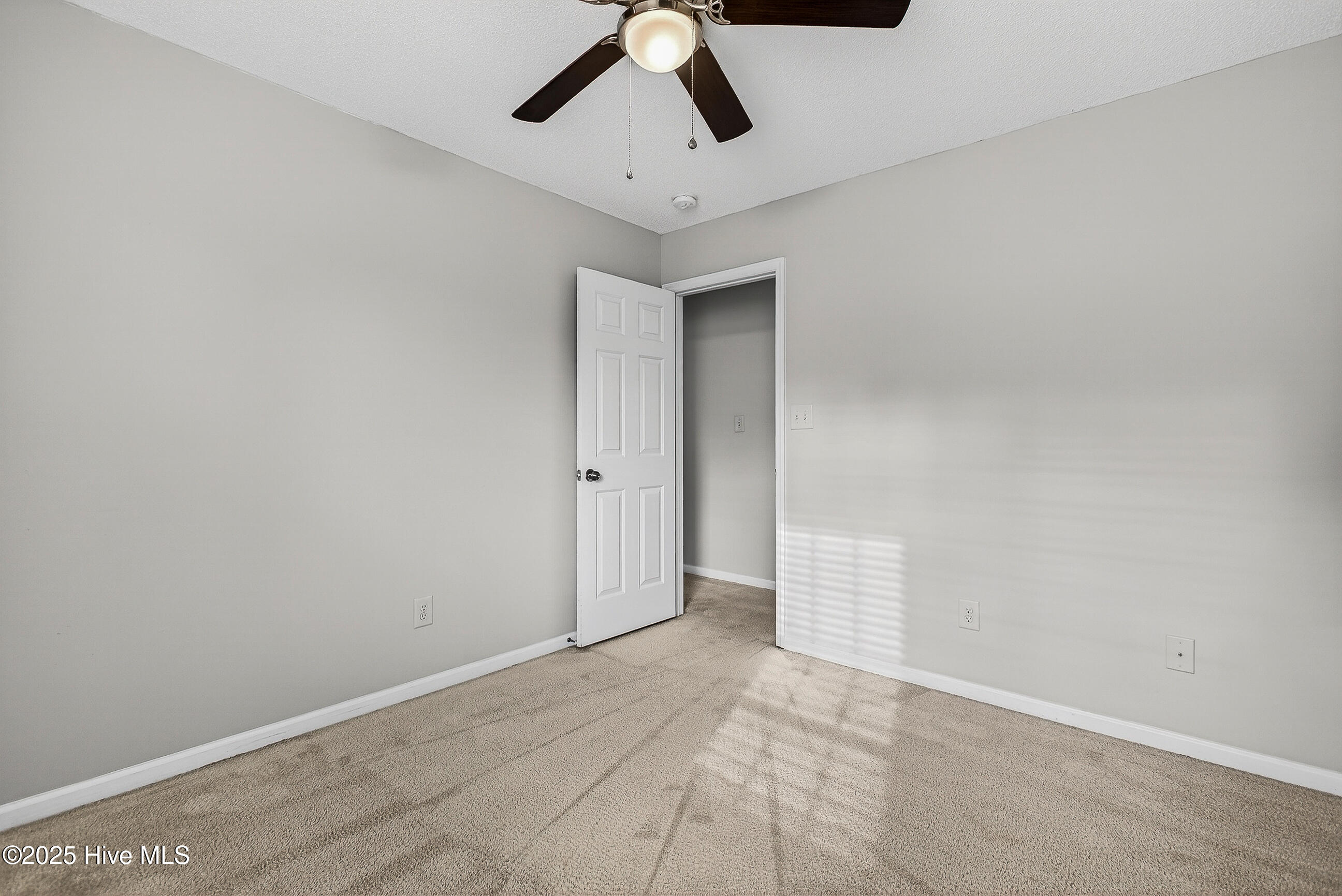 100546986 | Photo 19