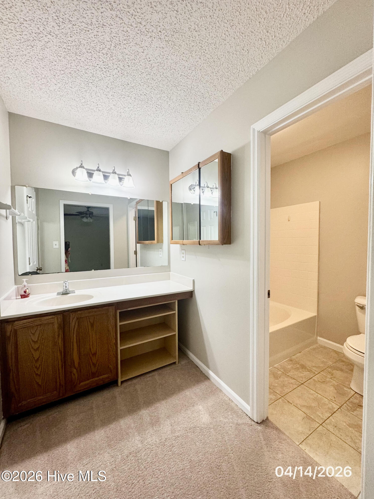 100568535 | Photo 17