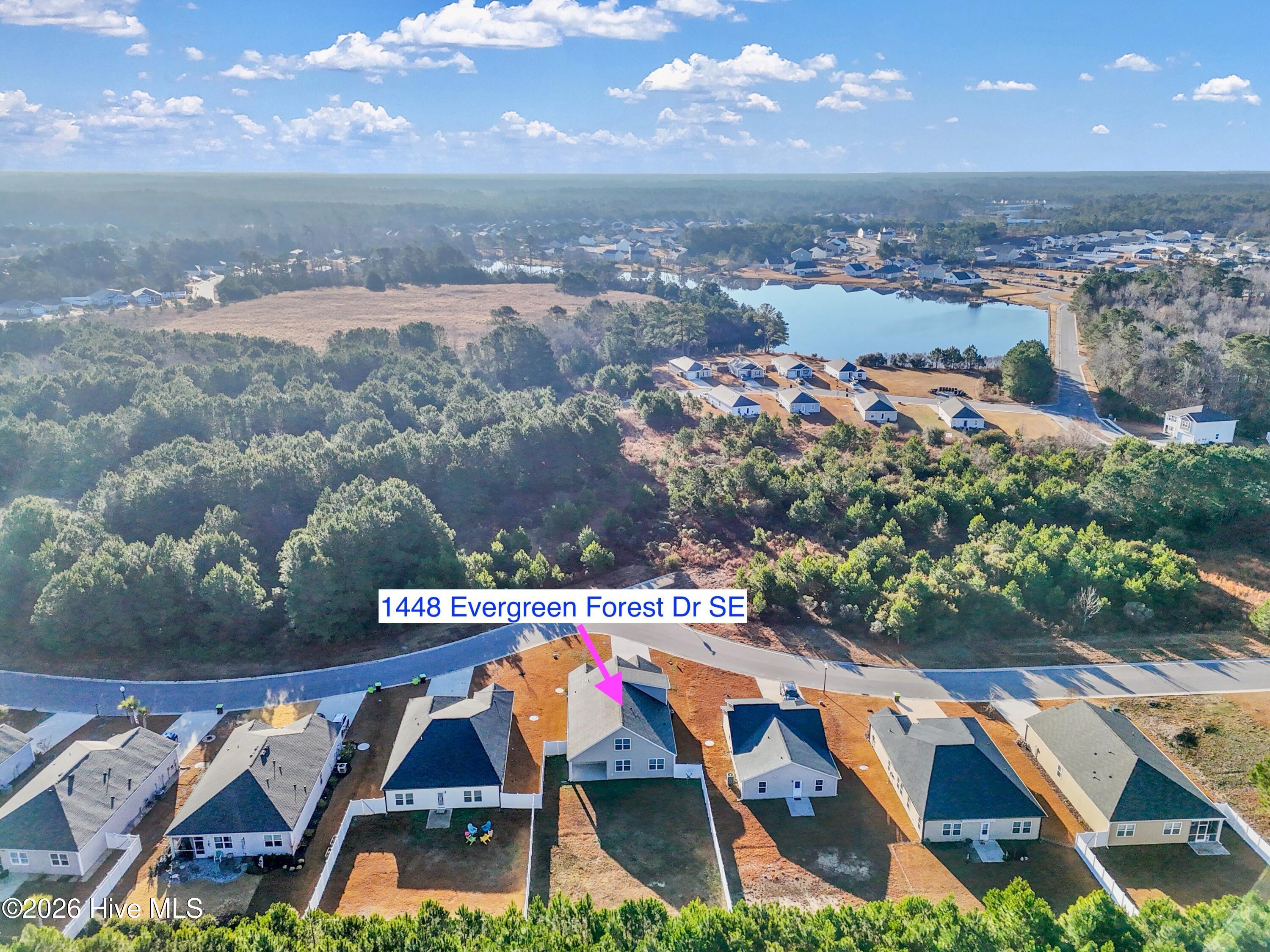 100547710 | Photo 38