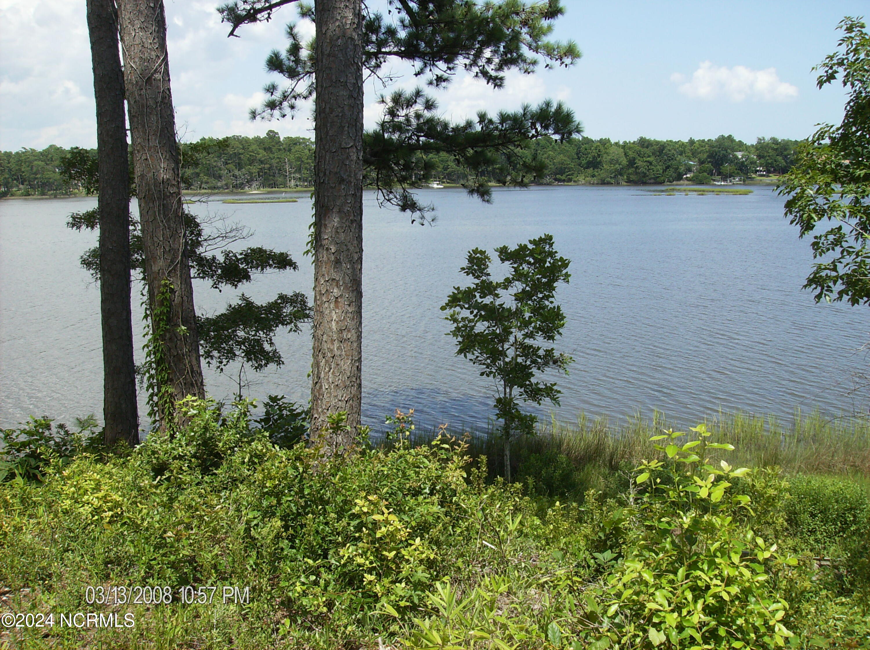 100459074 | Photo 16