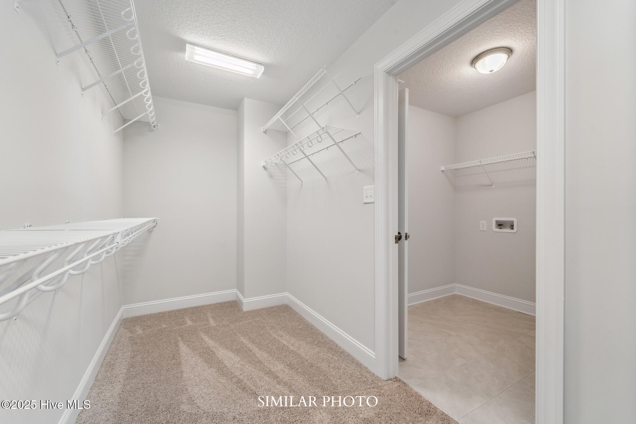 100538462 | Photo 27