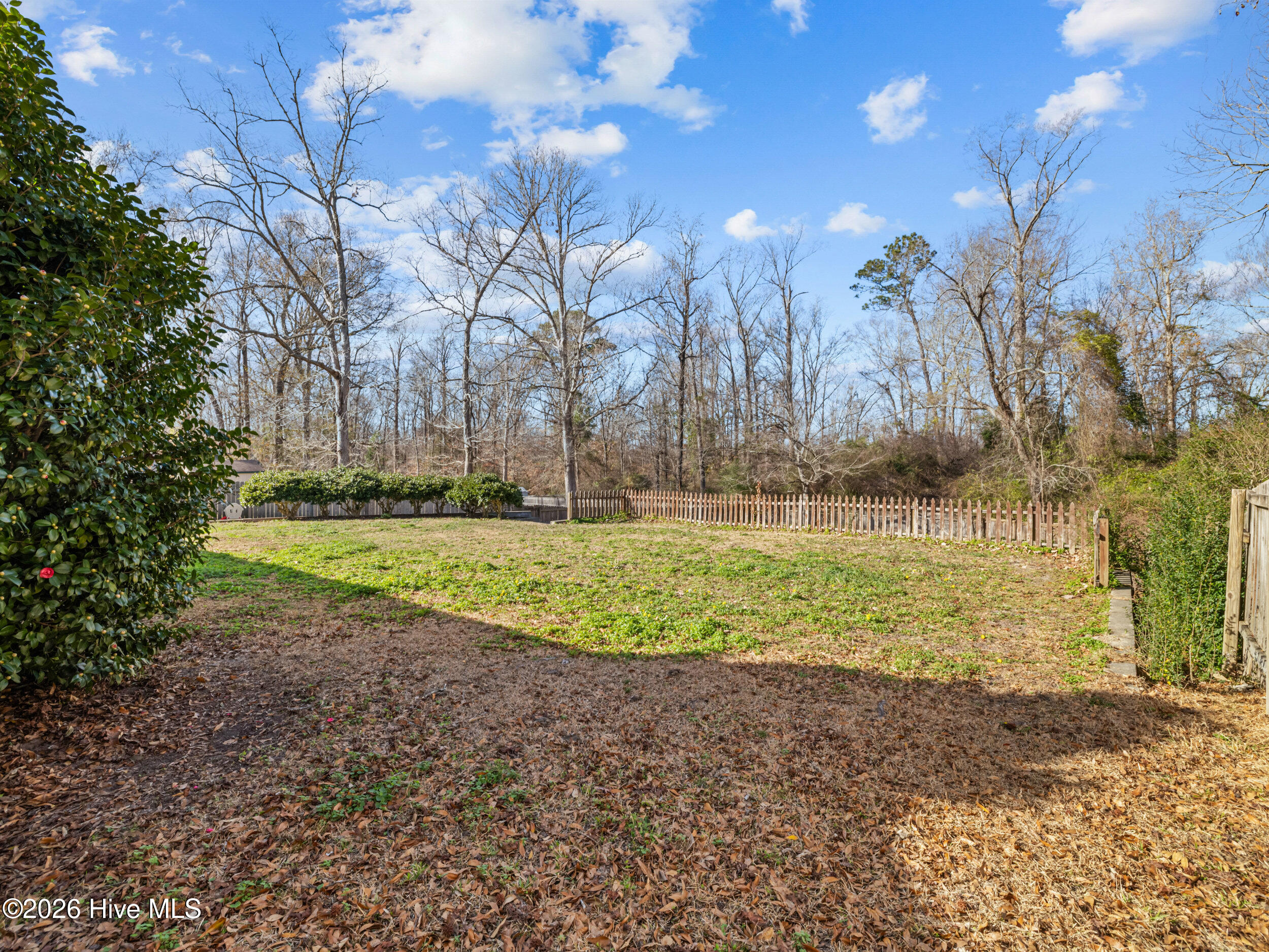 100550841 | Photo 24