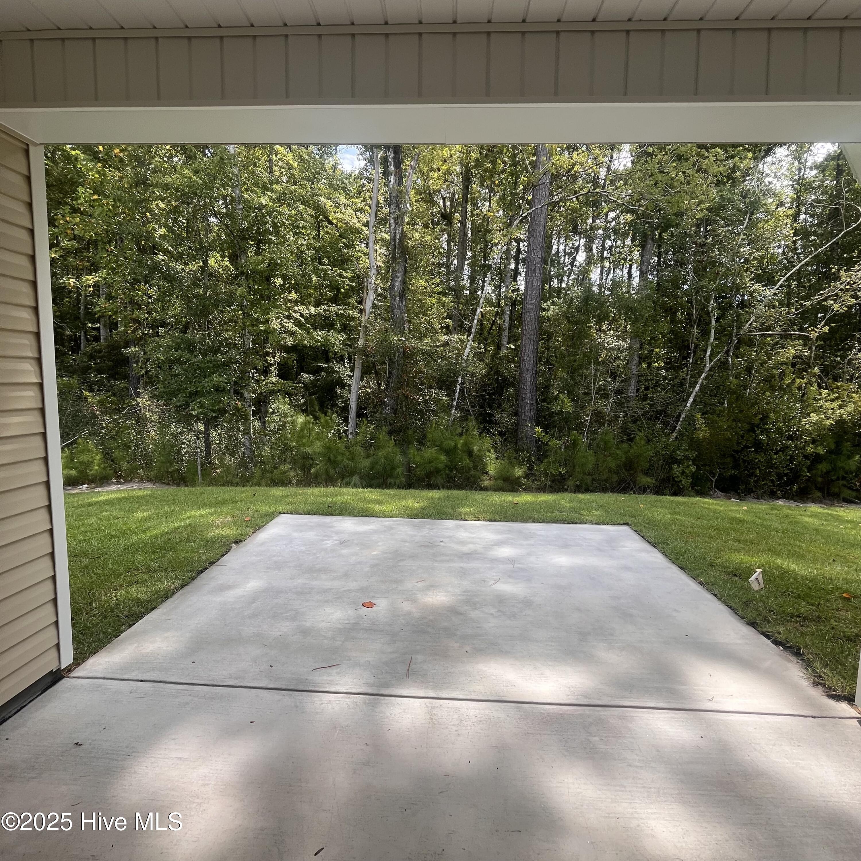 100517298 | Photo 38