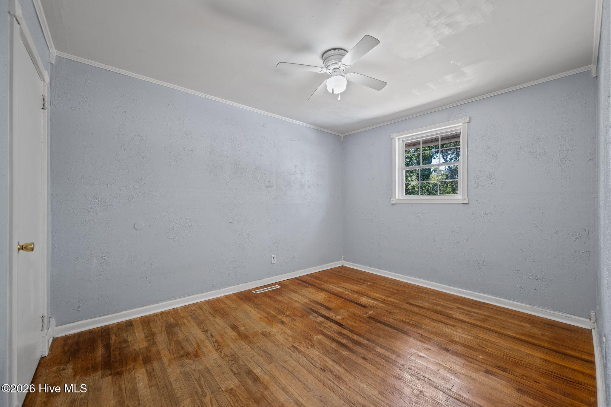 100562753 | Photo 18