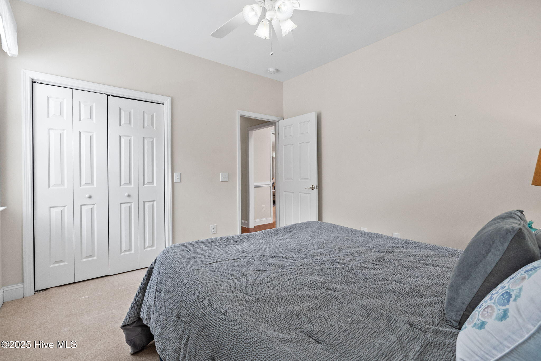 100523861 | Photo 33