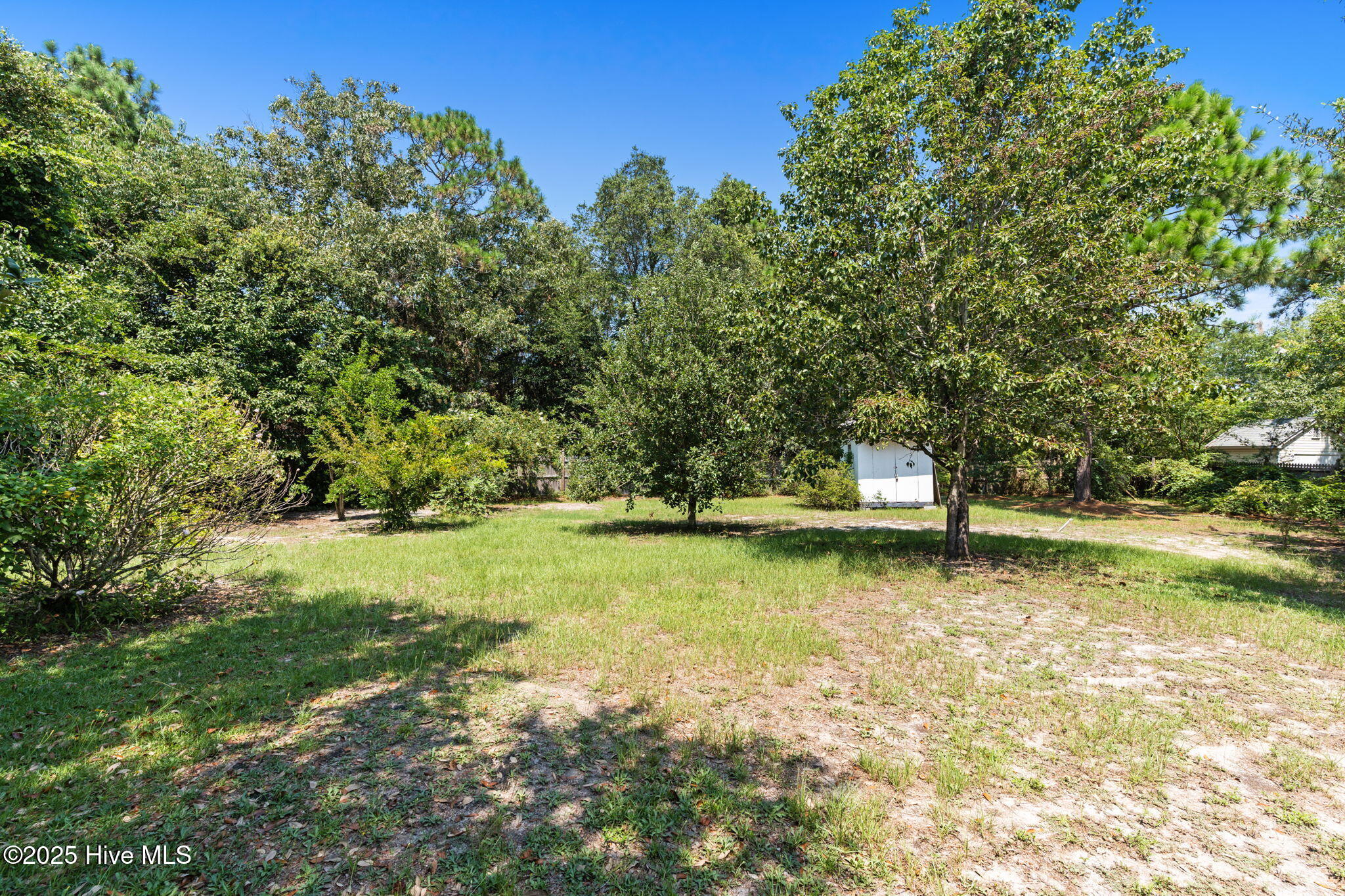 100522413 | Photo 46