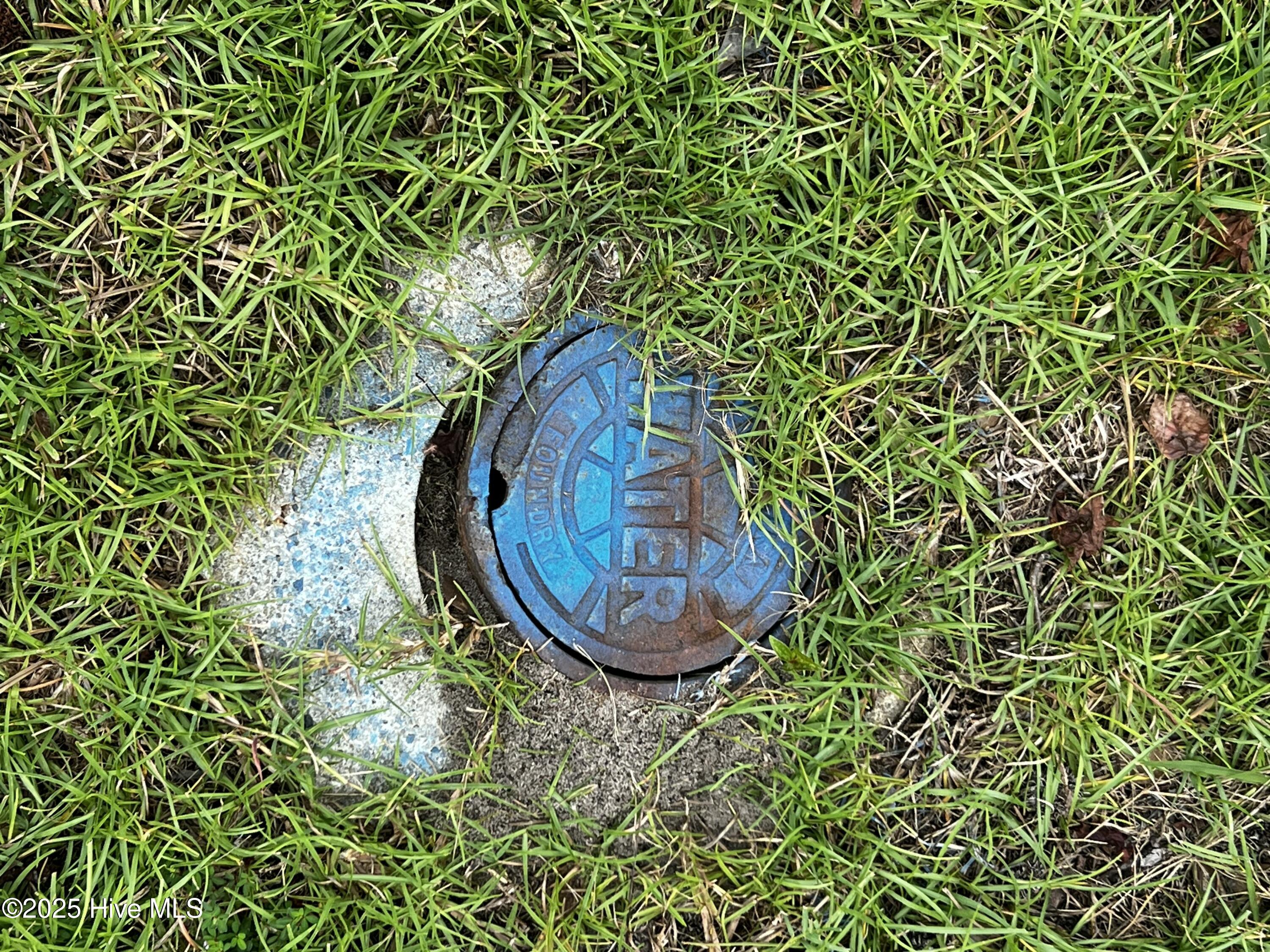 Lot 2 Dowry Creek E, Belhaven, NC, 27810