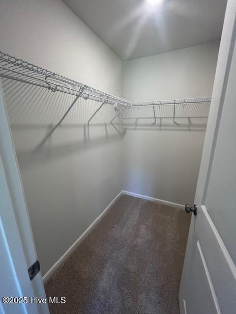 100537423 | Photo 18