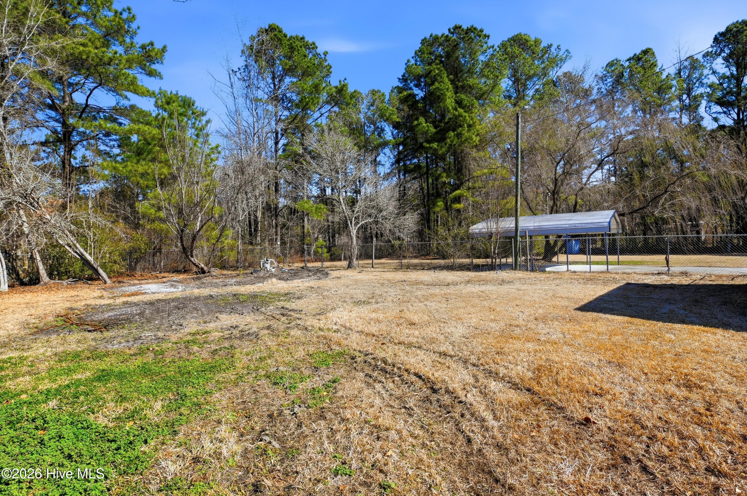 100556681 | Photo 39