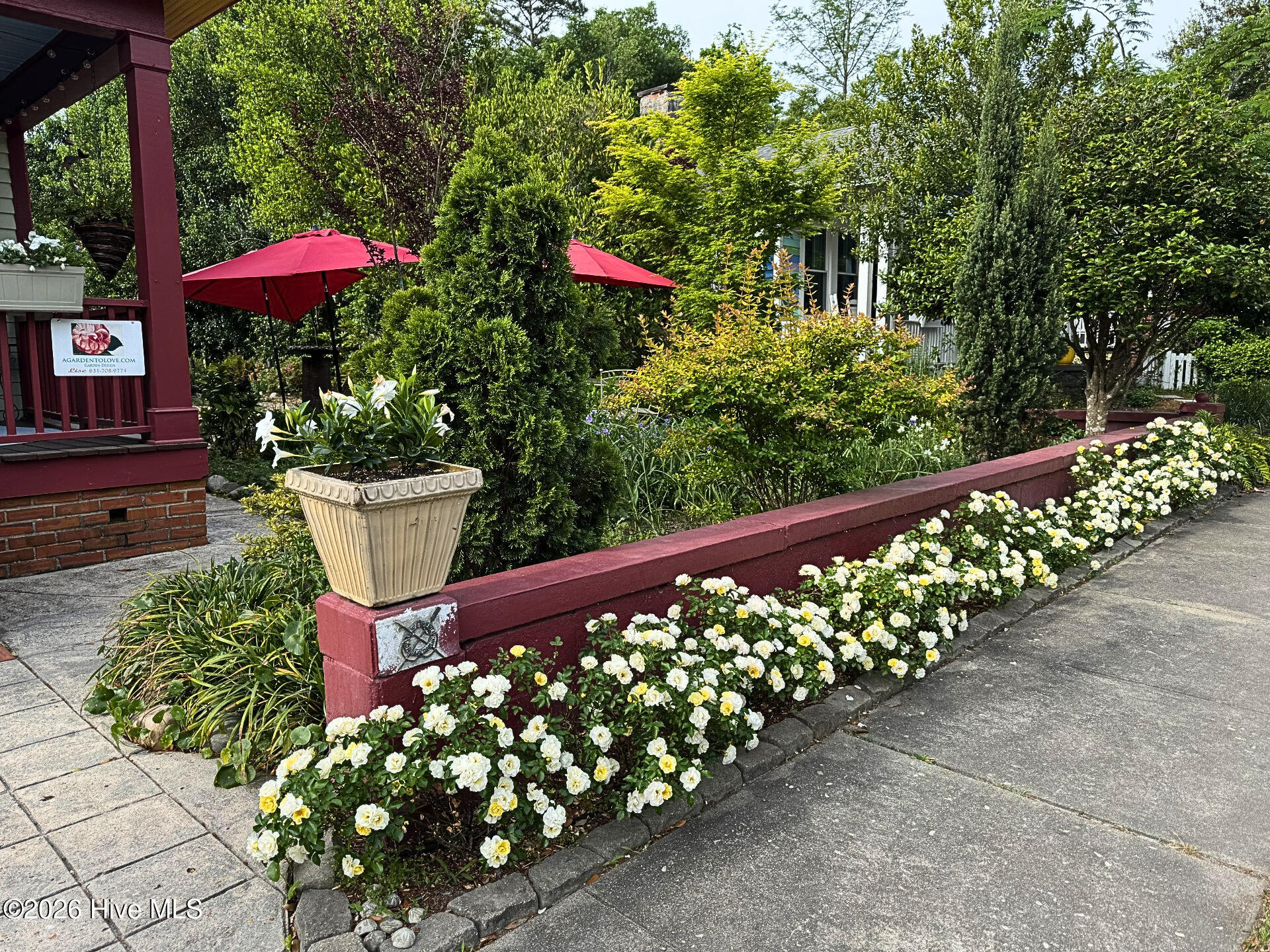 100566675 | Photo 5