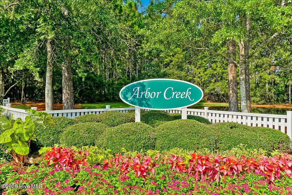 100569459 | Photo 65