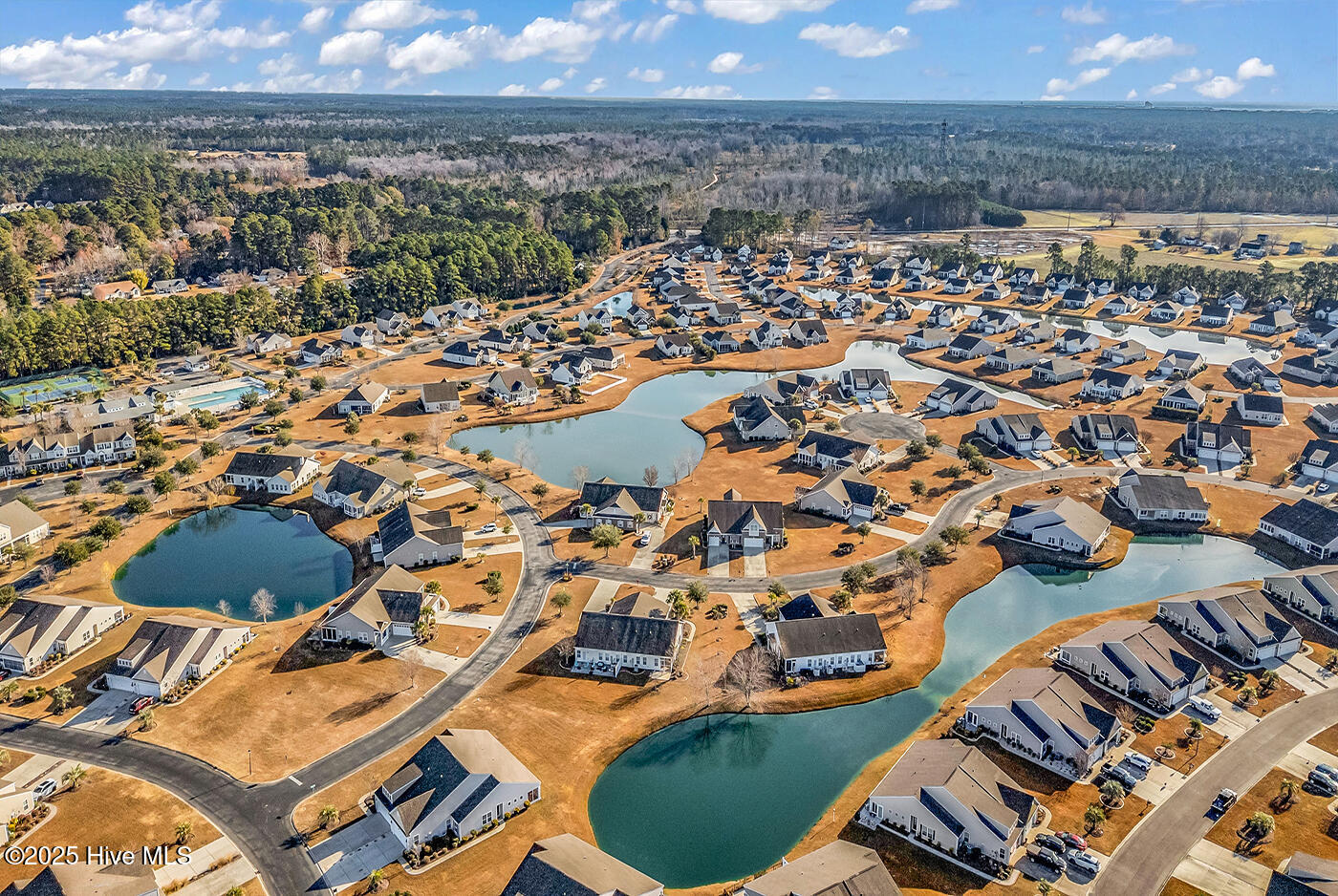 100545538 | Photo 45