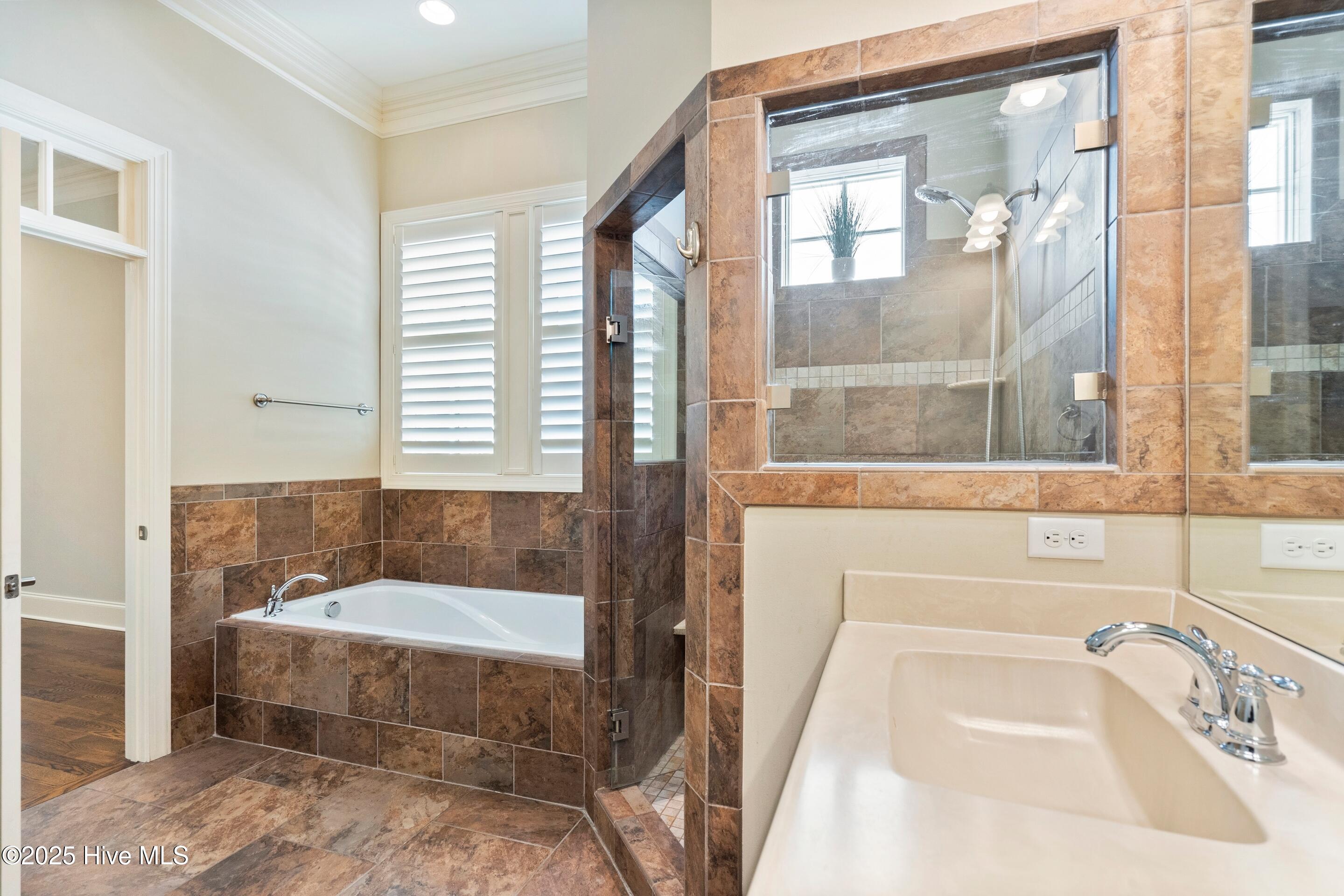 100537551 | Photo 34