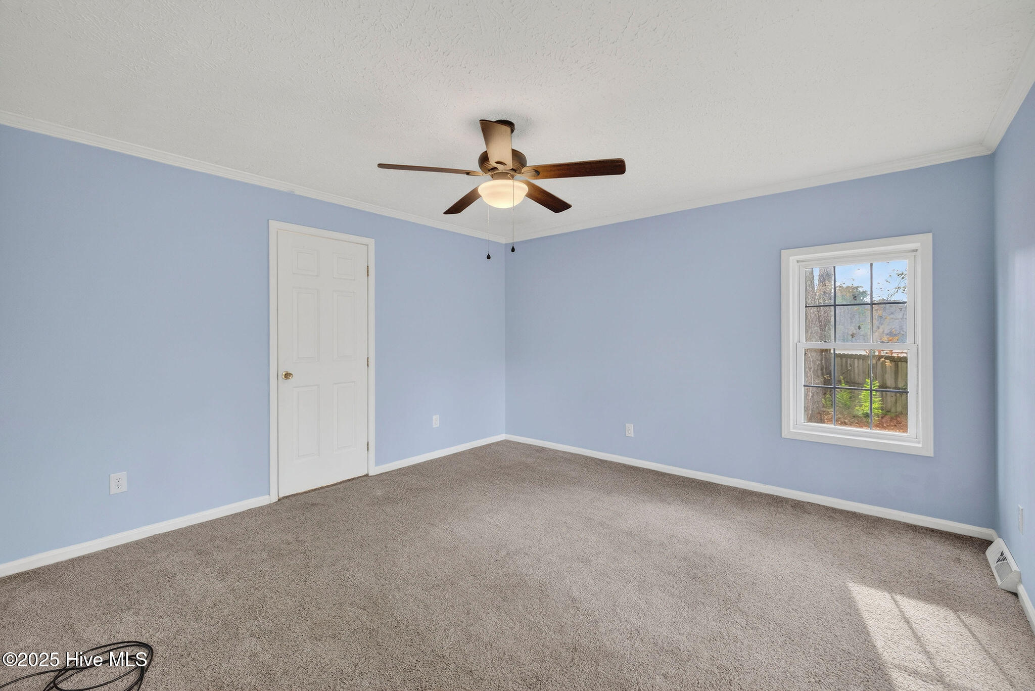 100546222 | Photo 24