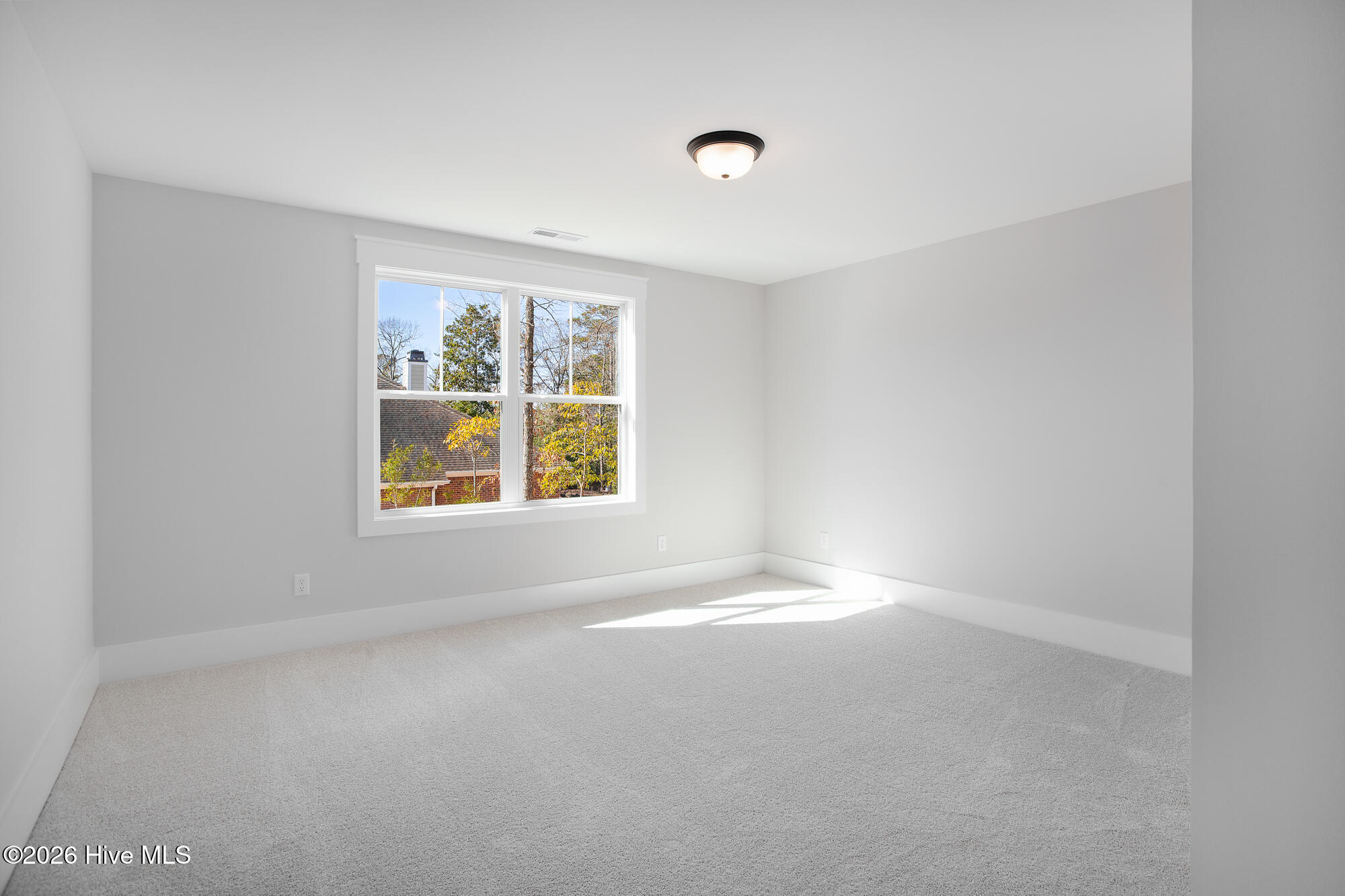 100564009 | Photo 31