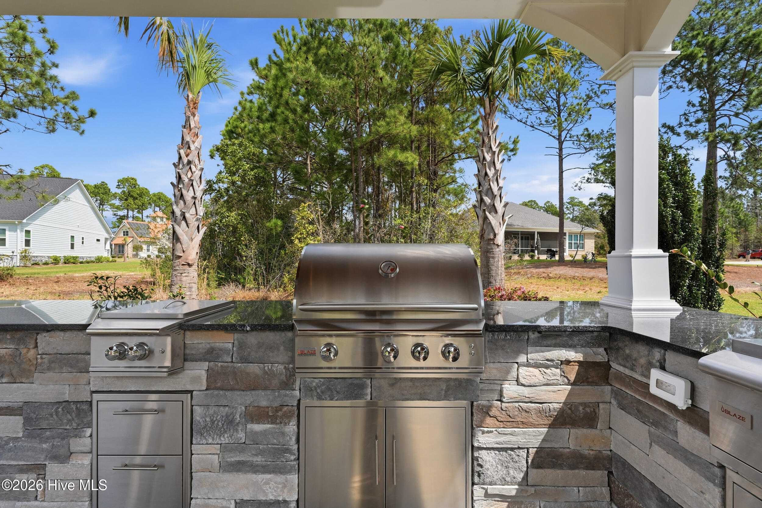 100563980 | Photo 39