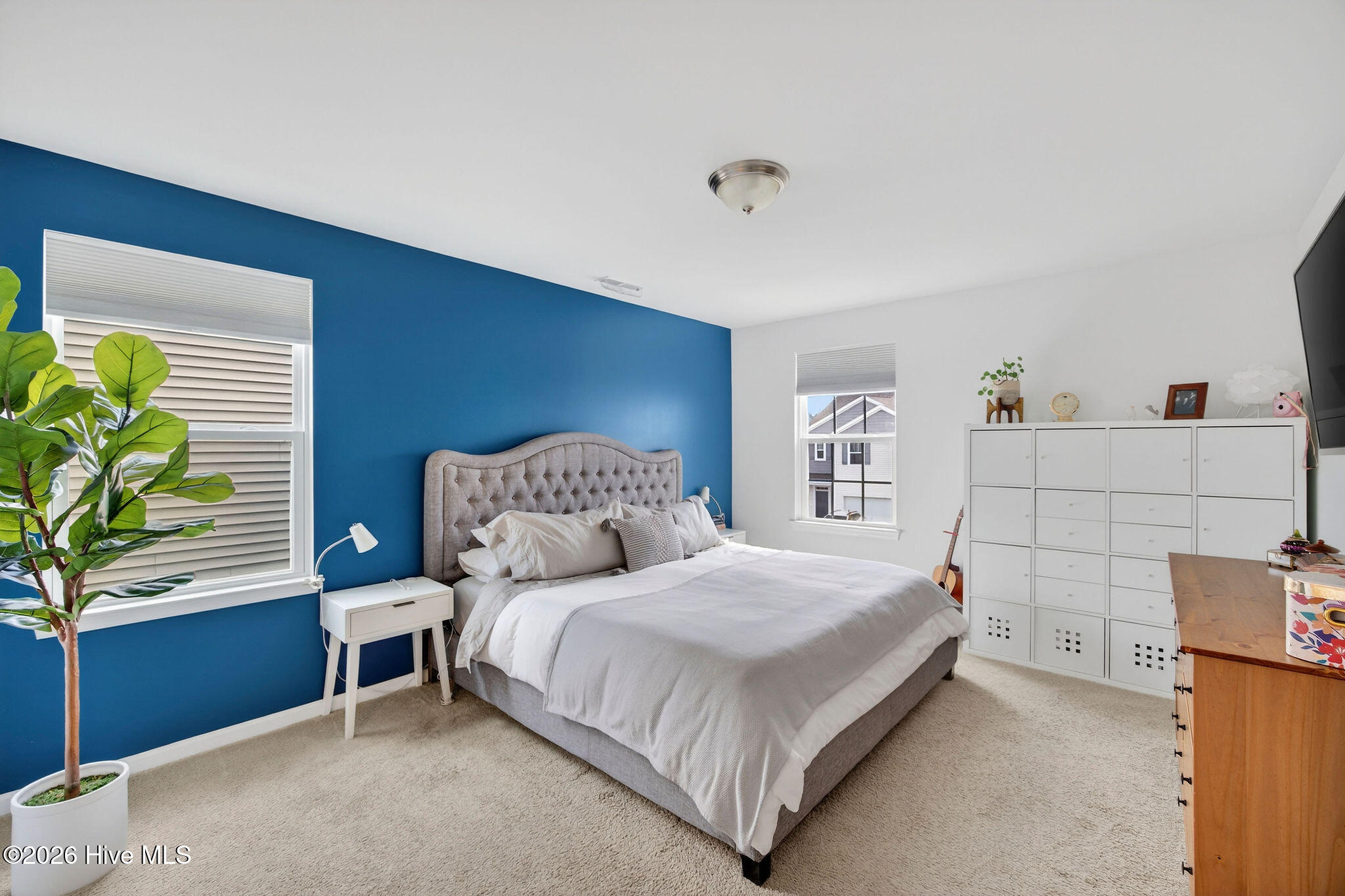 100562313 | Photo 27