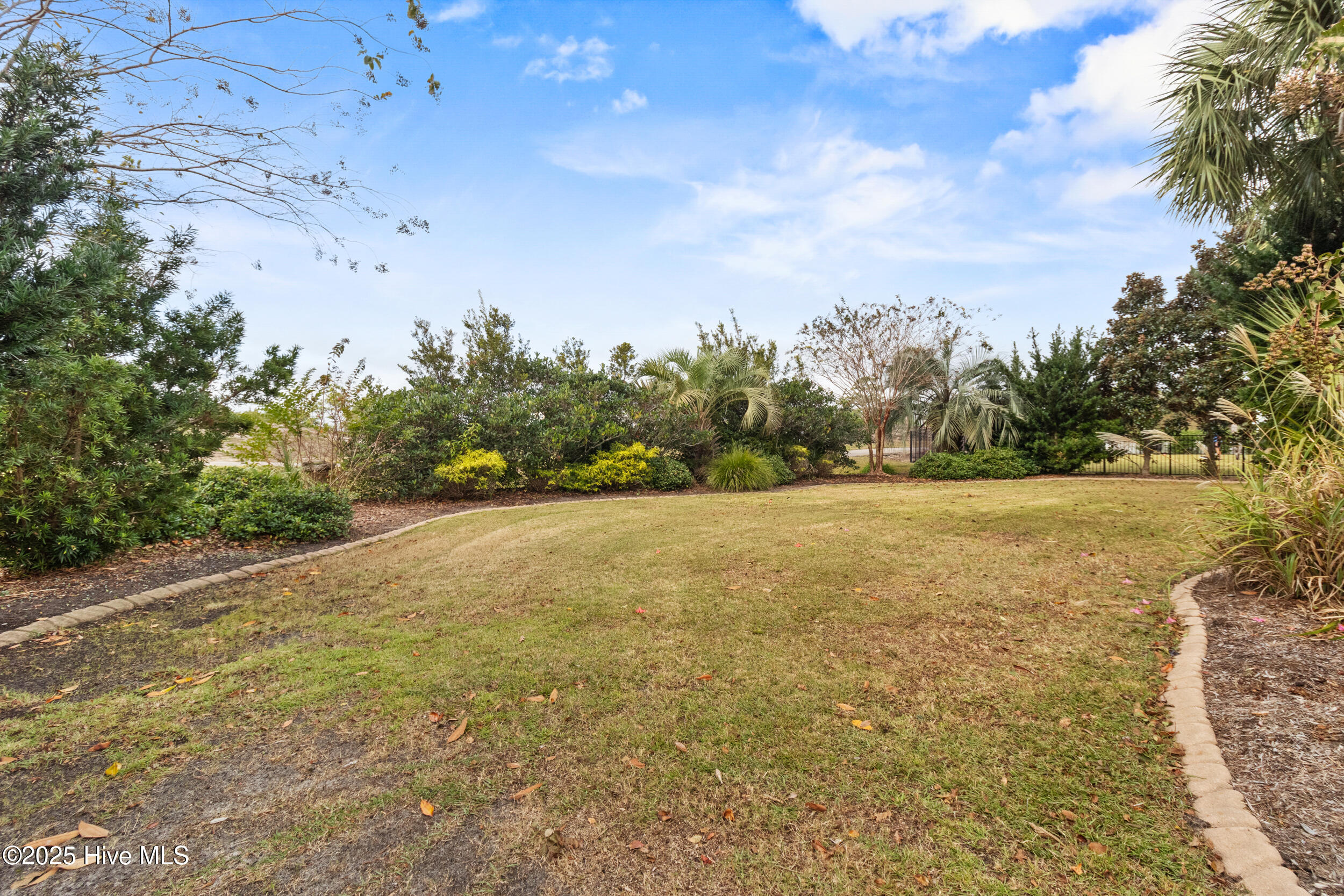 100538767 | Photo 51