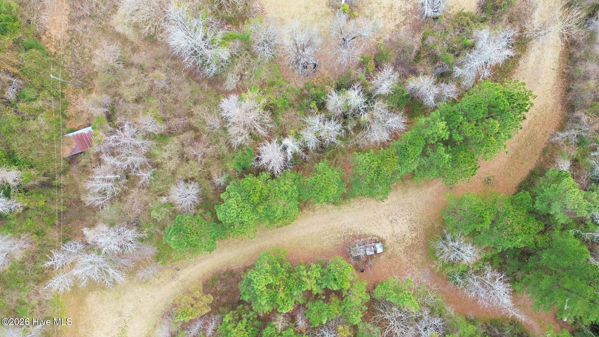 100556115 | Photo 105