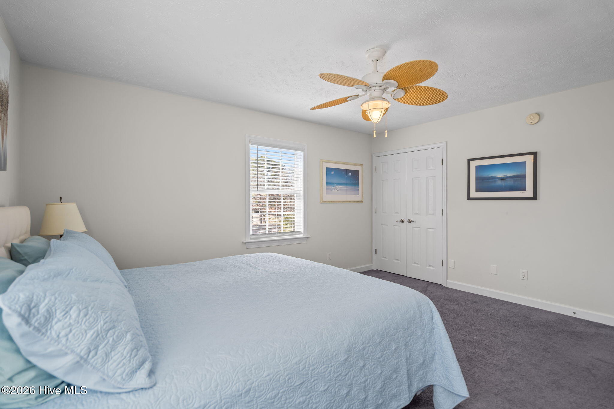 100555405 | Photo 43