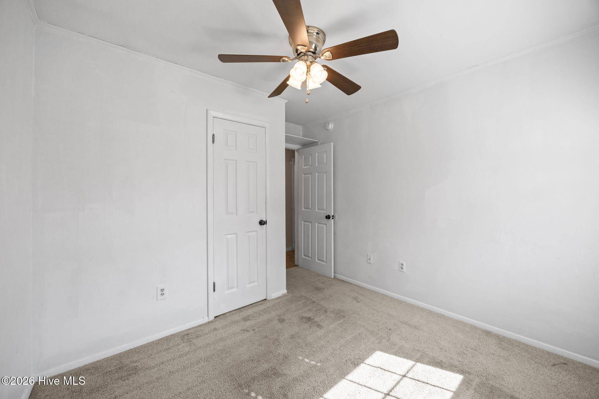 100554228 | Photo 11