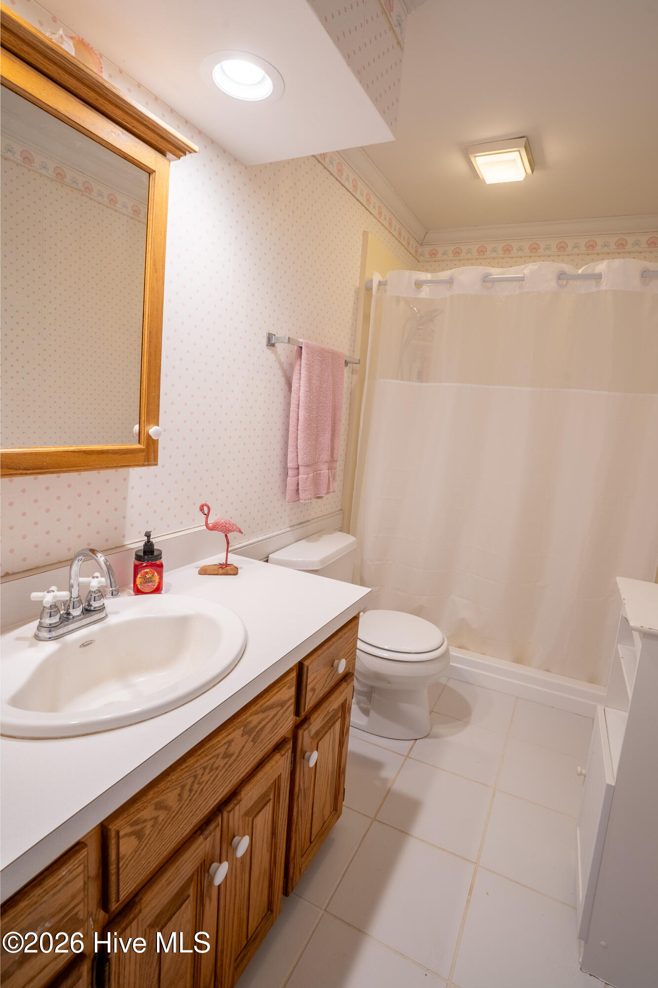 100558507 | Photo 12