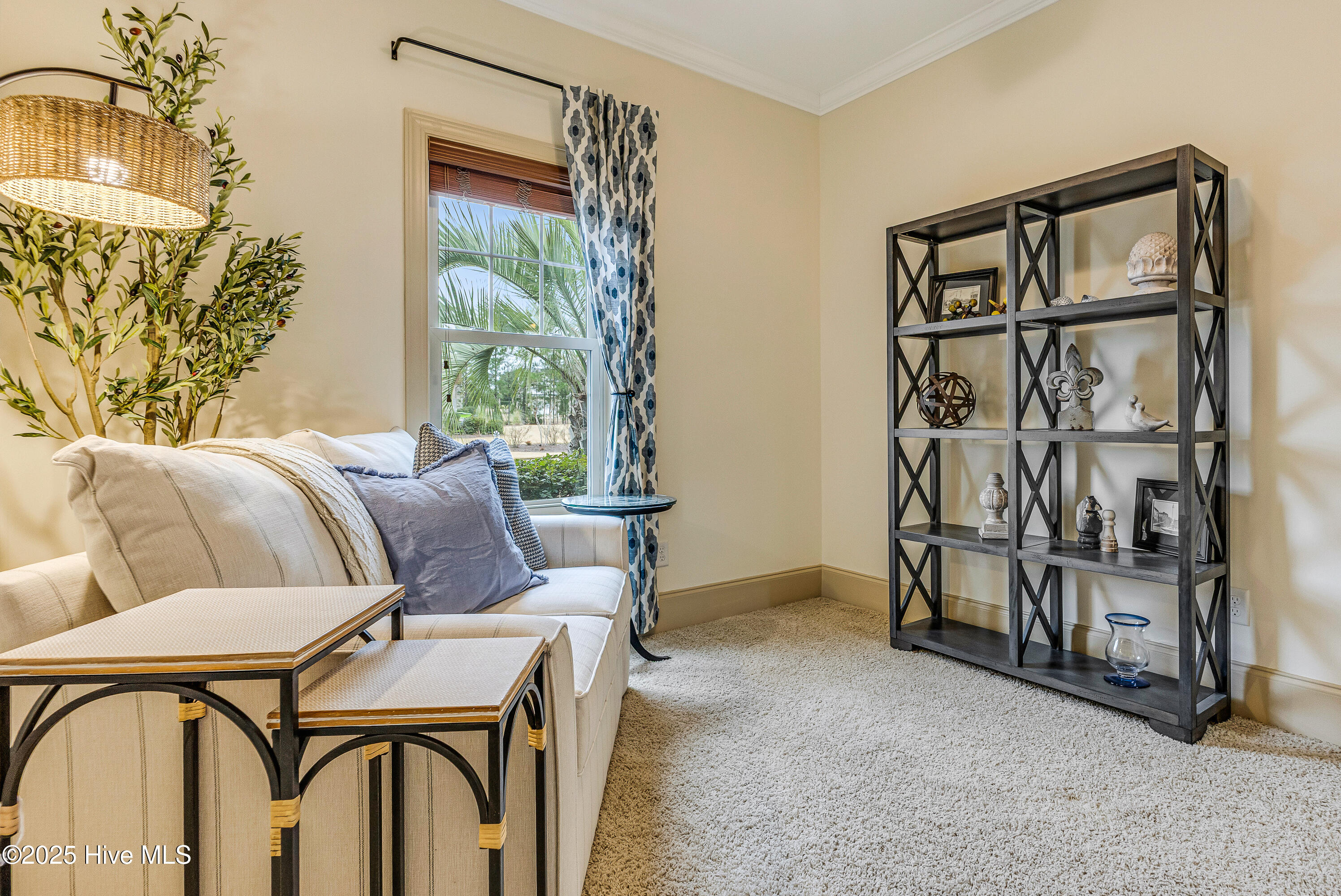 100546218 | Photo 37