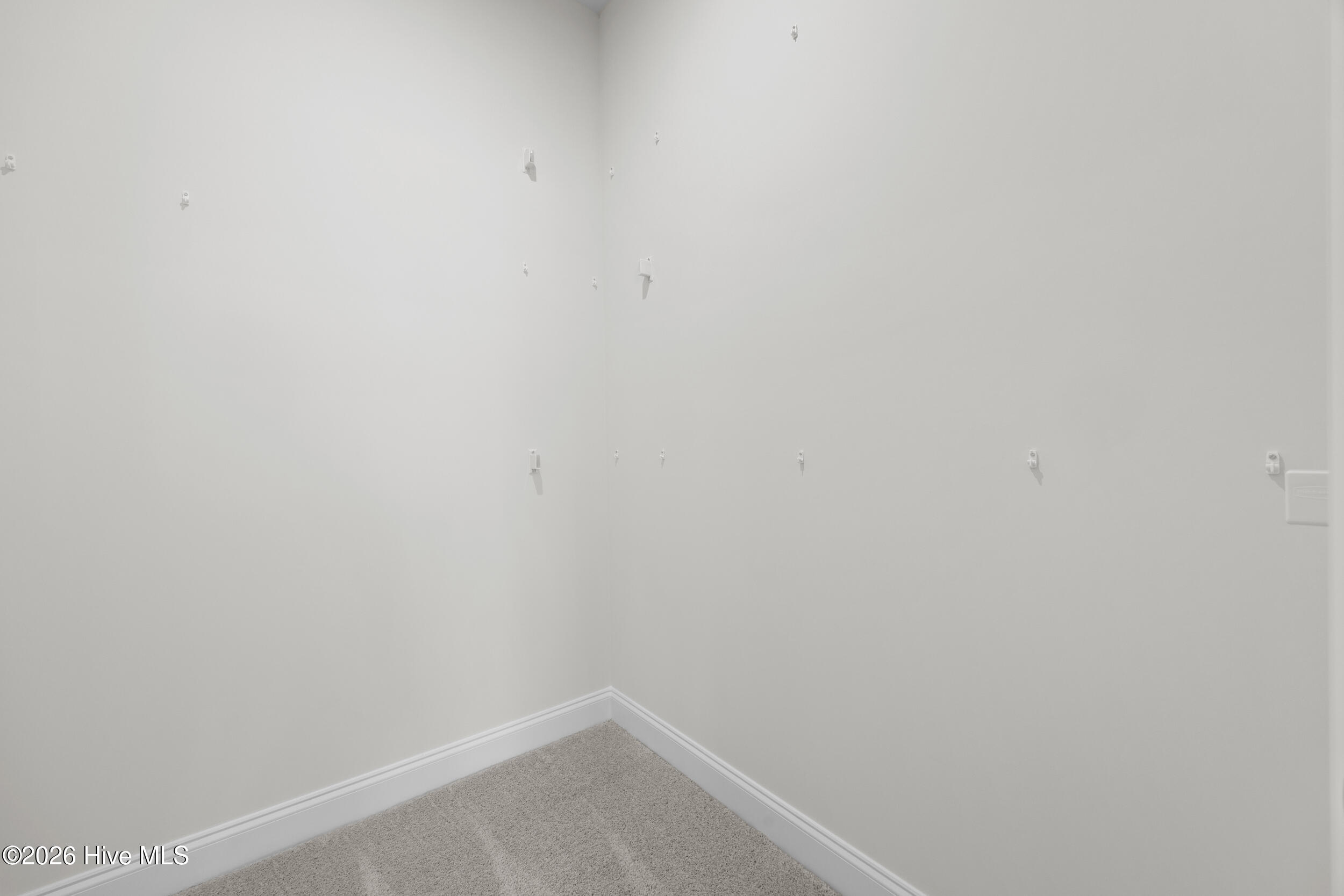 100556976 | Photo 25