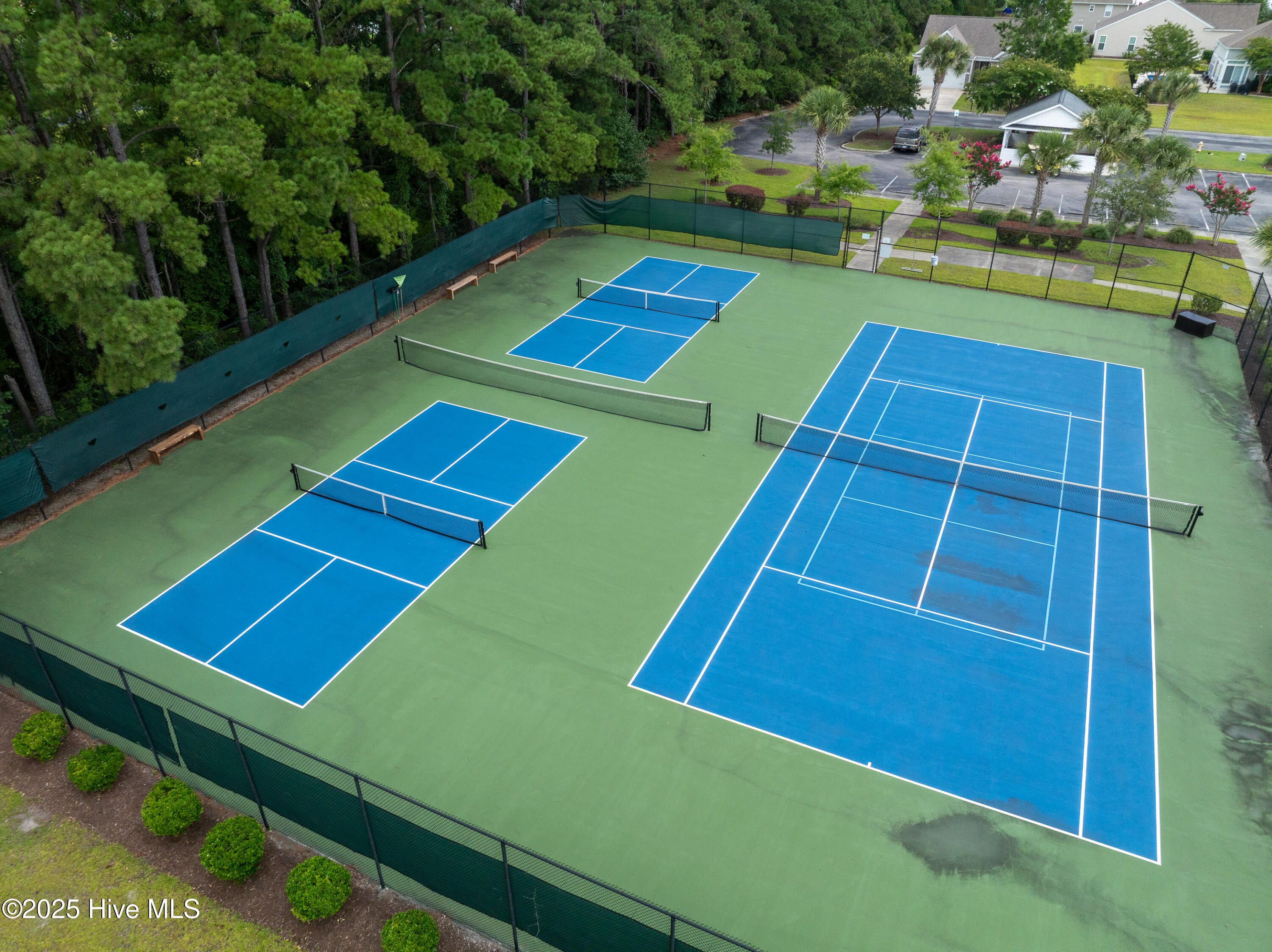 100533720 | Photo 40