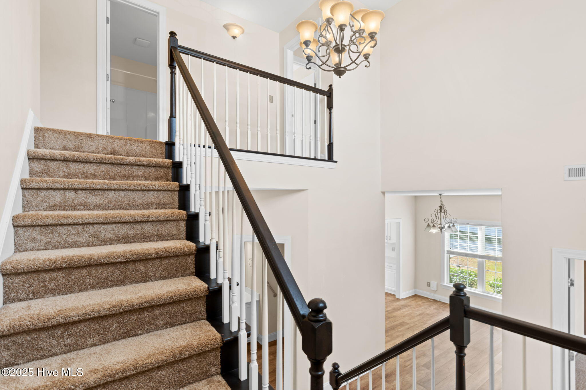 100532081 | Photo 39