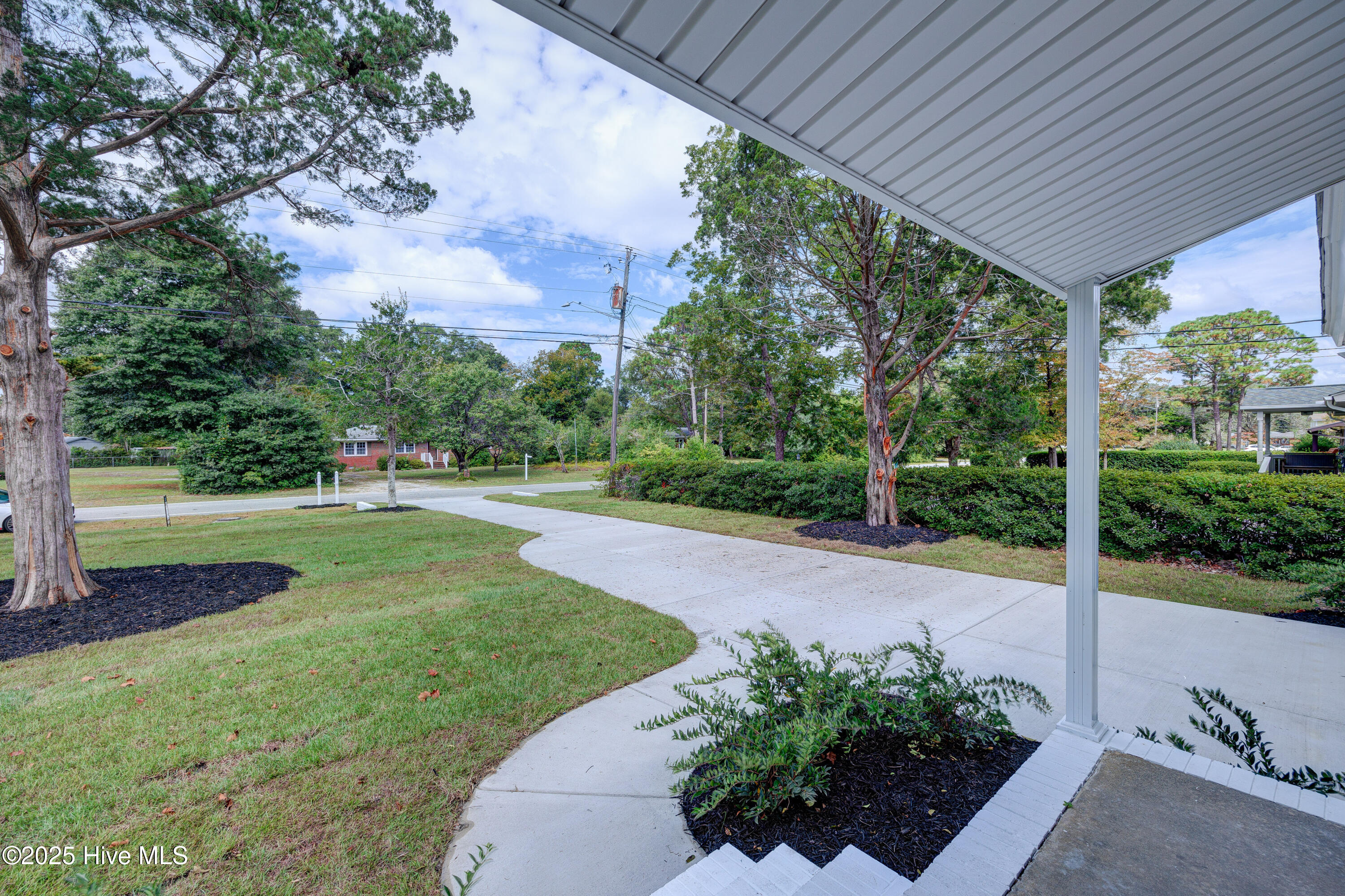 100534169 | Photo 36