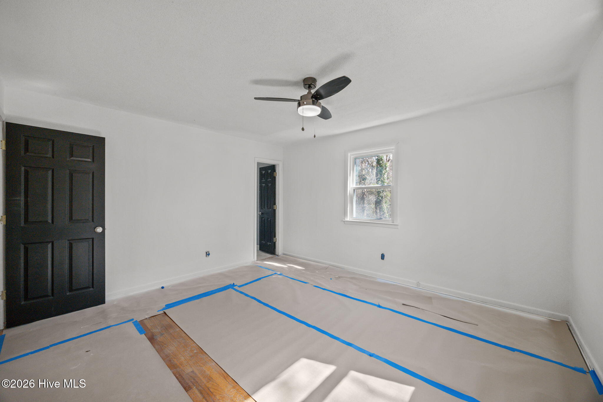 100555859 | Photo 25