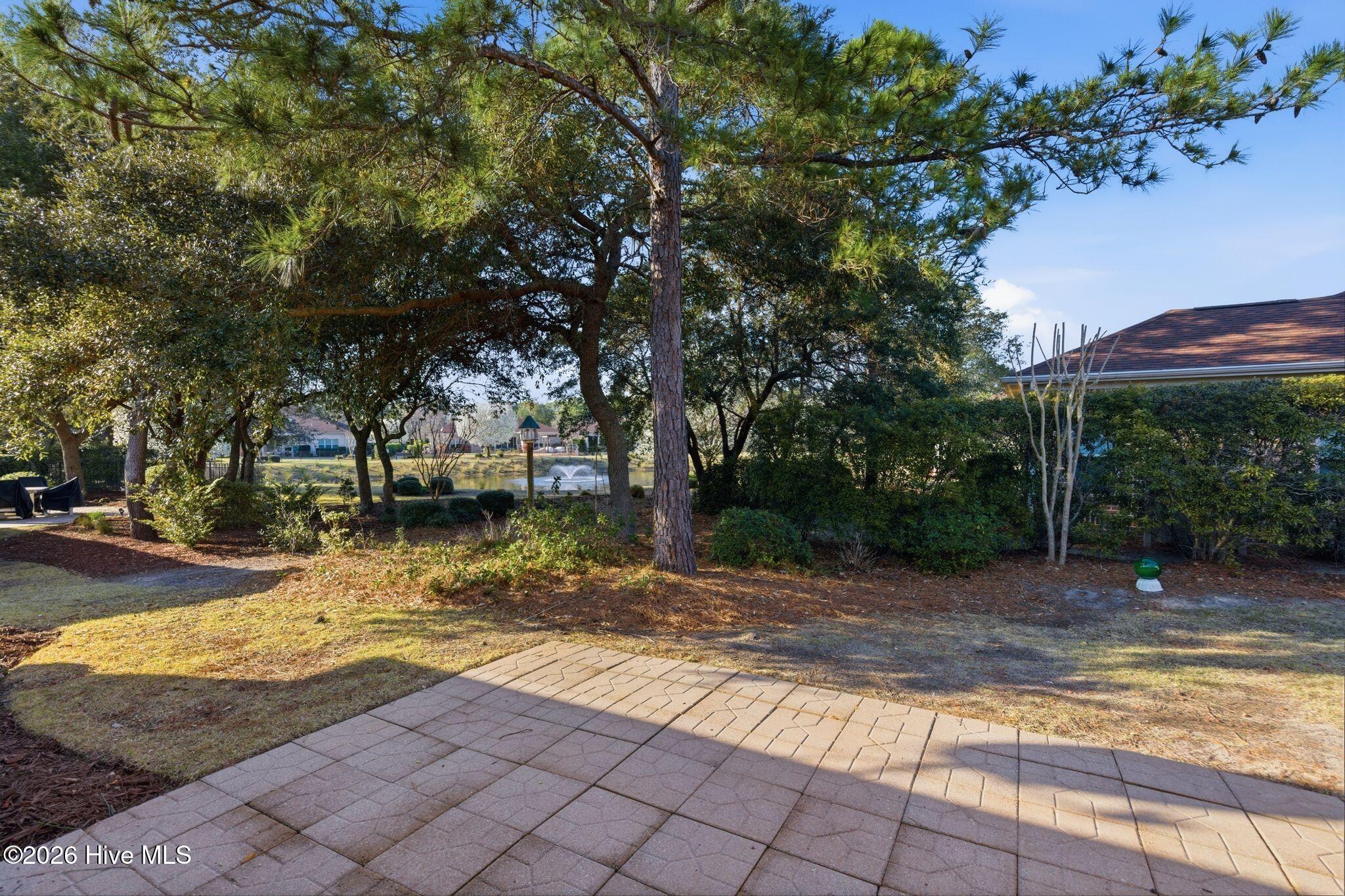 100559645 | Photo 40