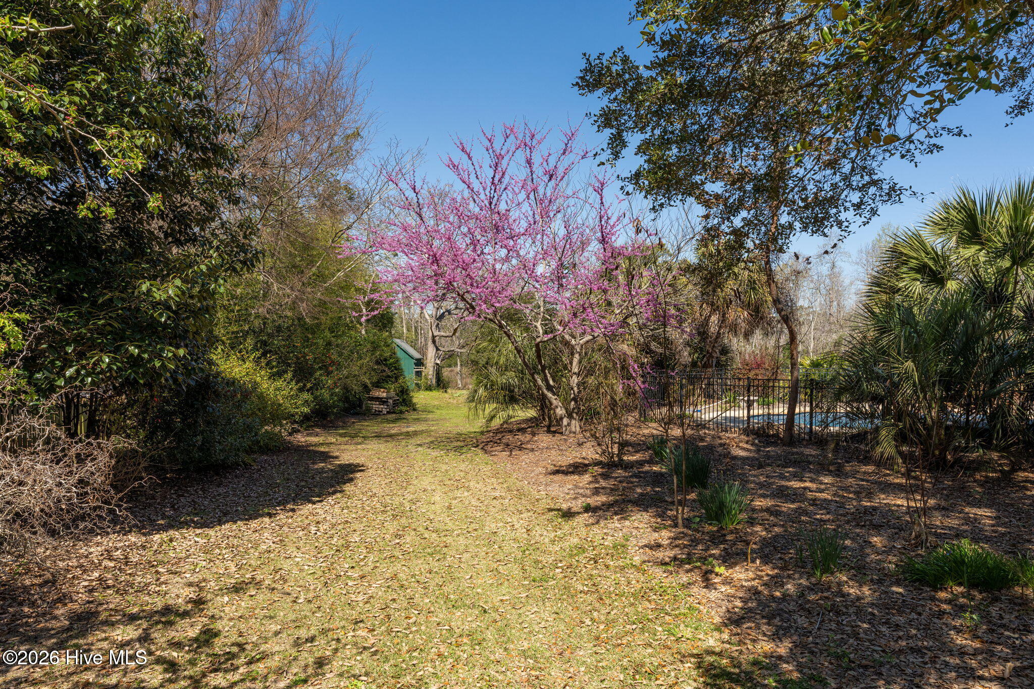 100552056 | Photo 91