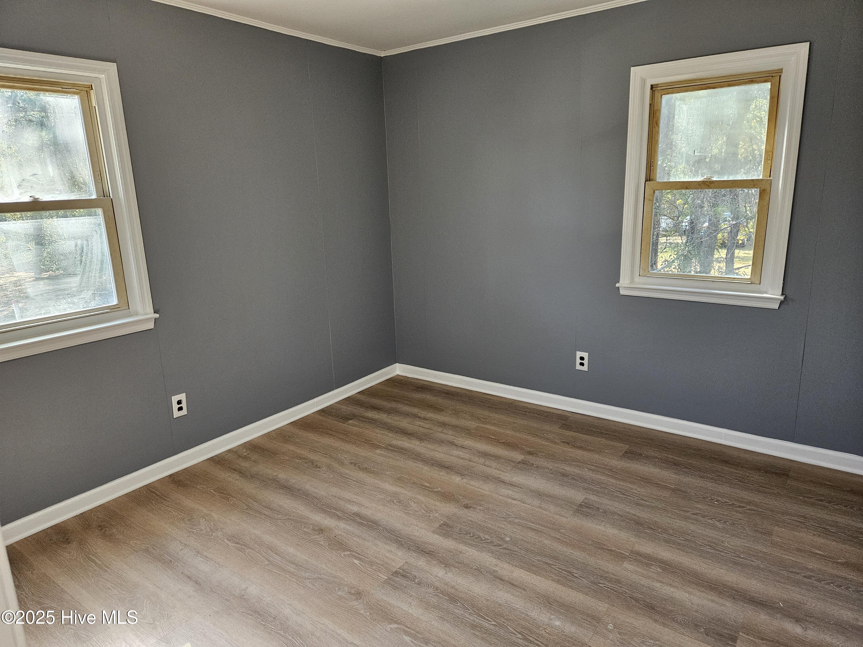 100537859 | Photo 11