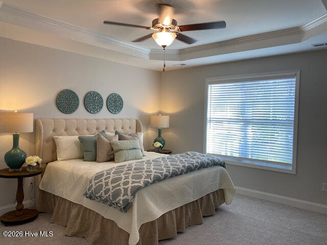 100567488 | Photo 14