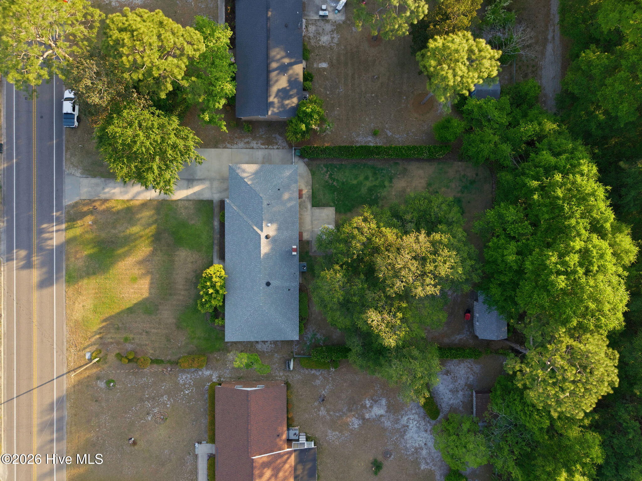 100569519 | Photo 51