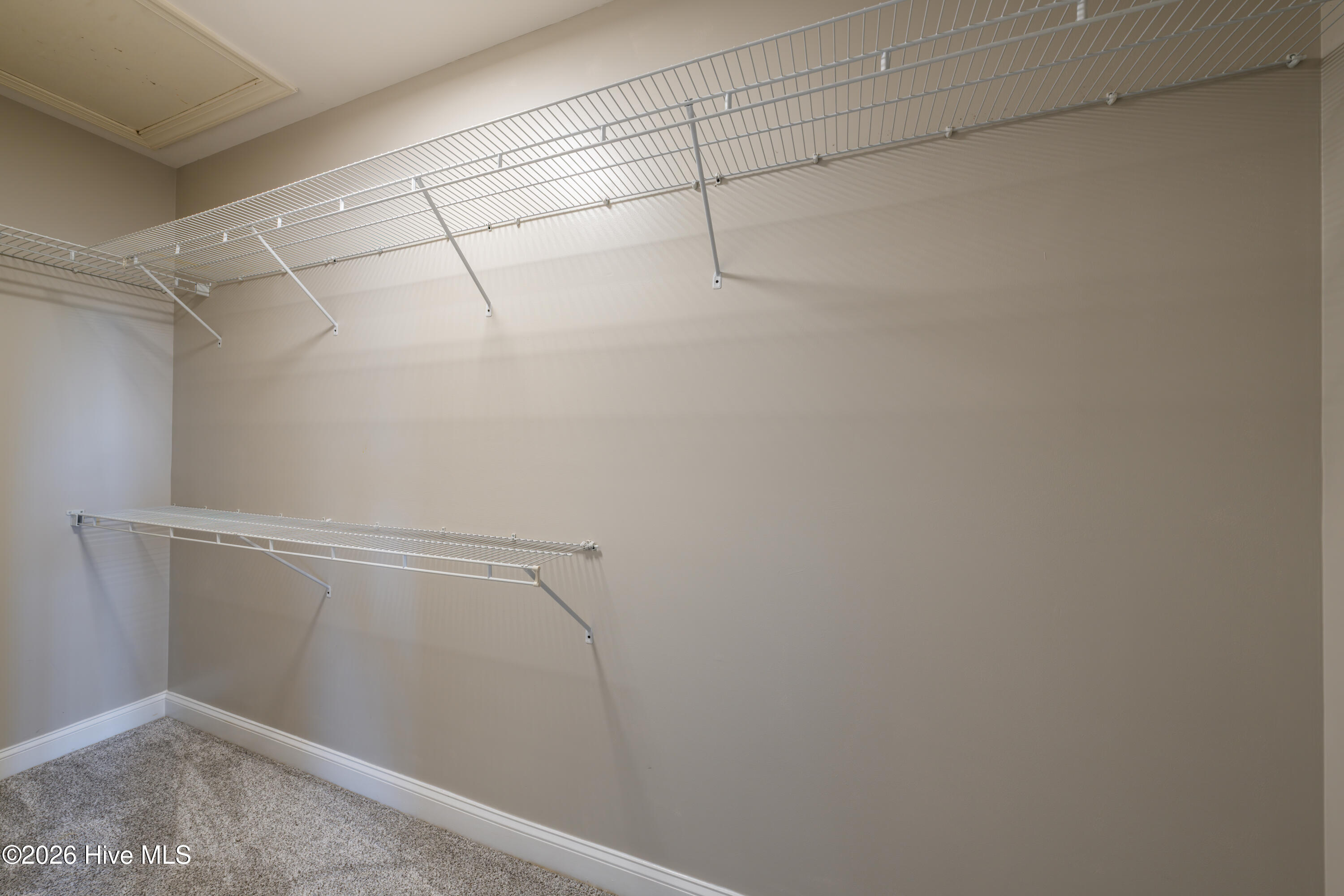 100548724 | Photo 41