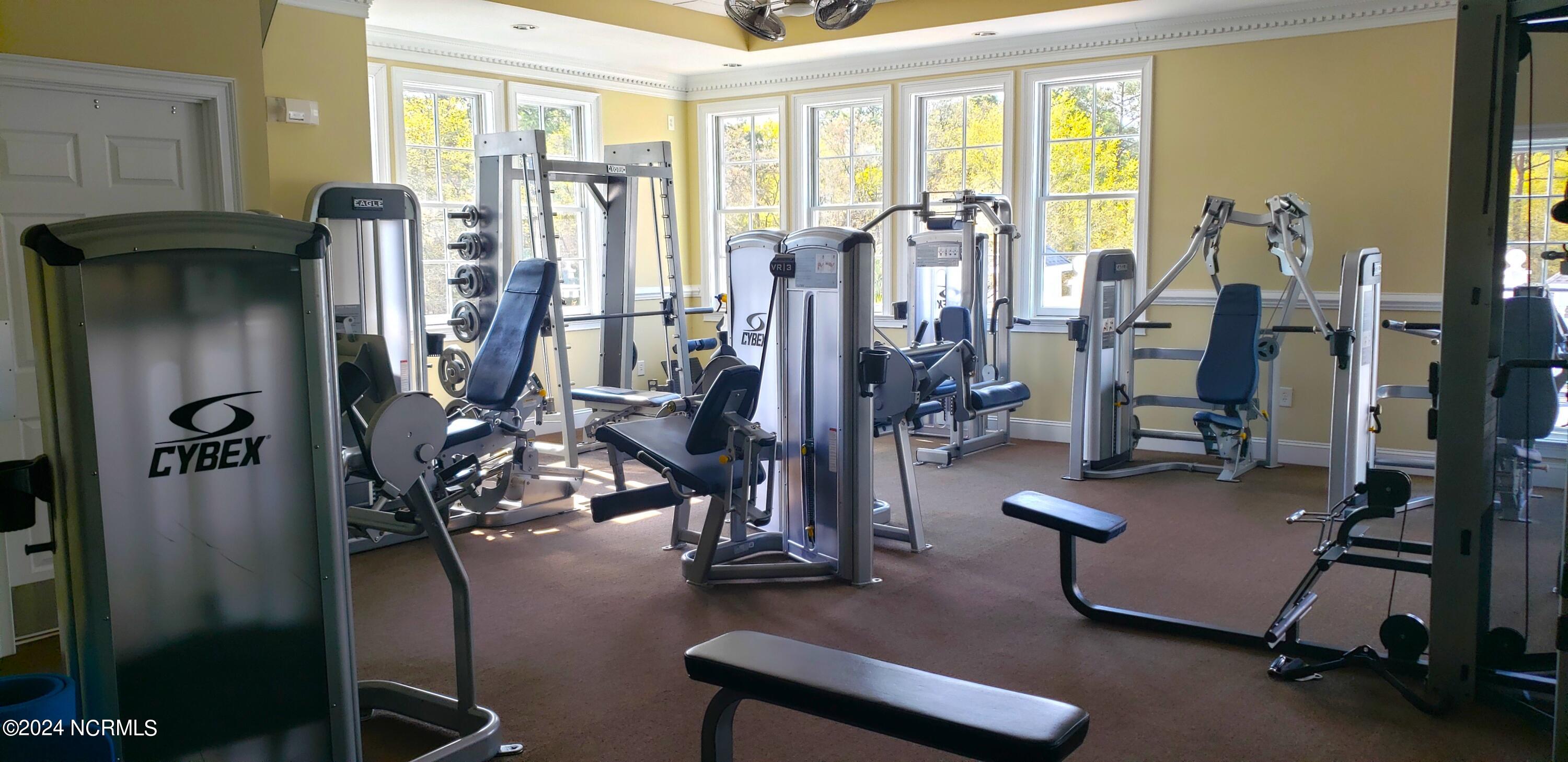 100549815 | Photo 10