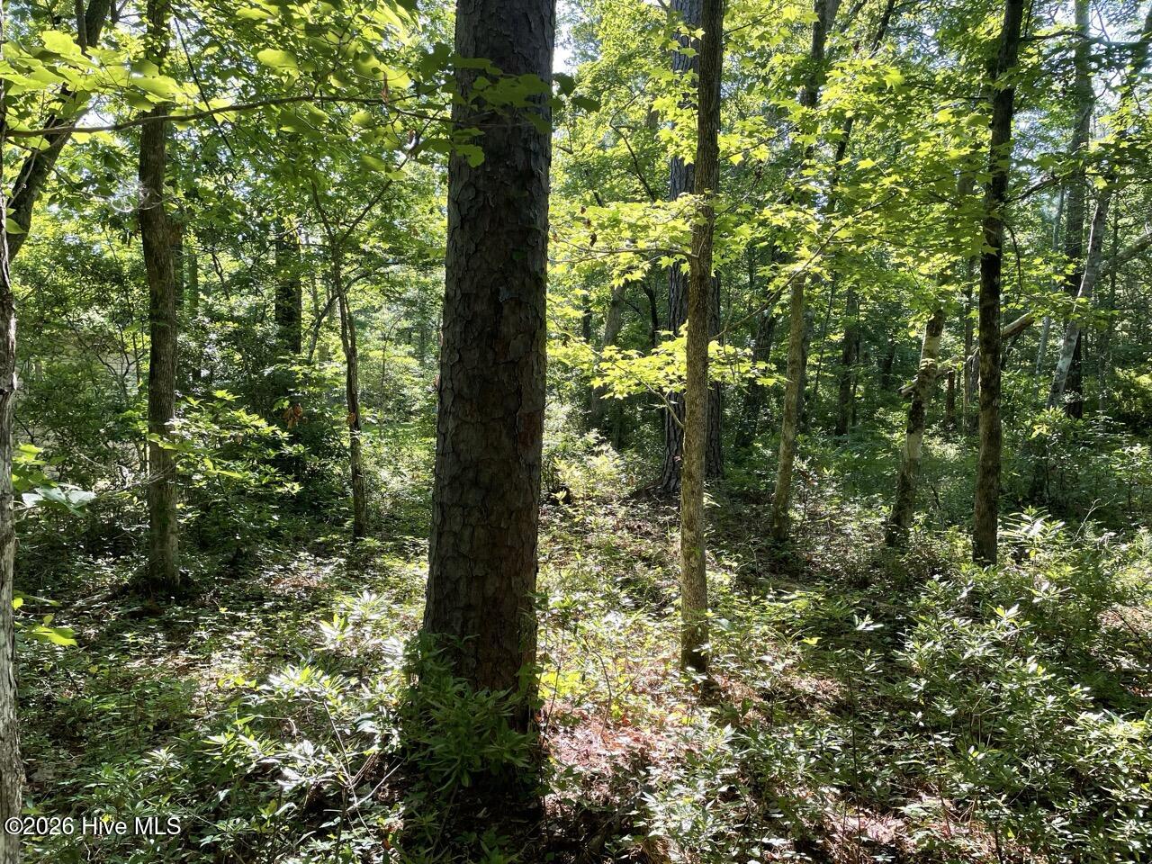 126 34 Deer Trail,Beaufort